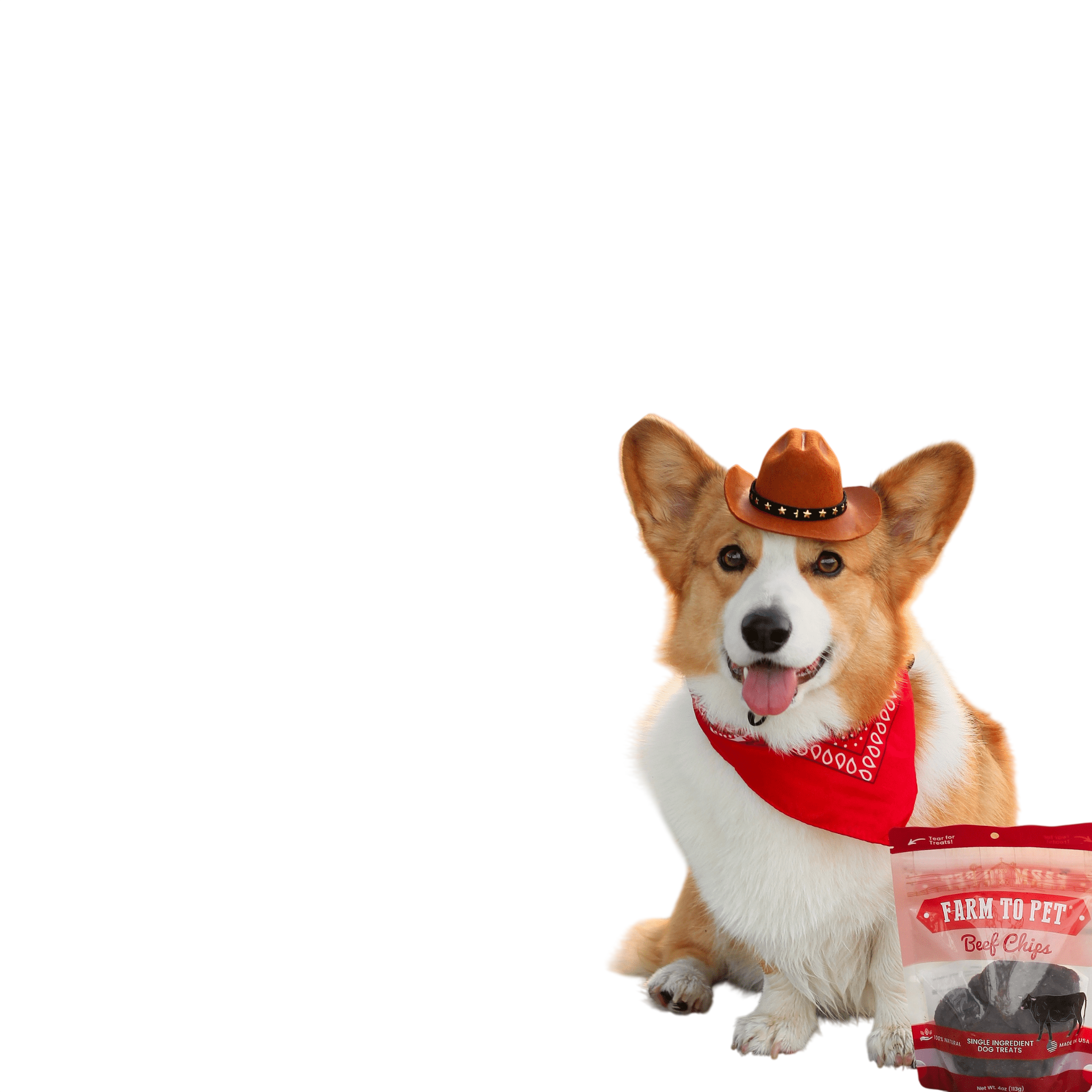 Beef Chips Dog Treats | Single-Ingredient Healthy Treats for Dogs