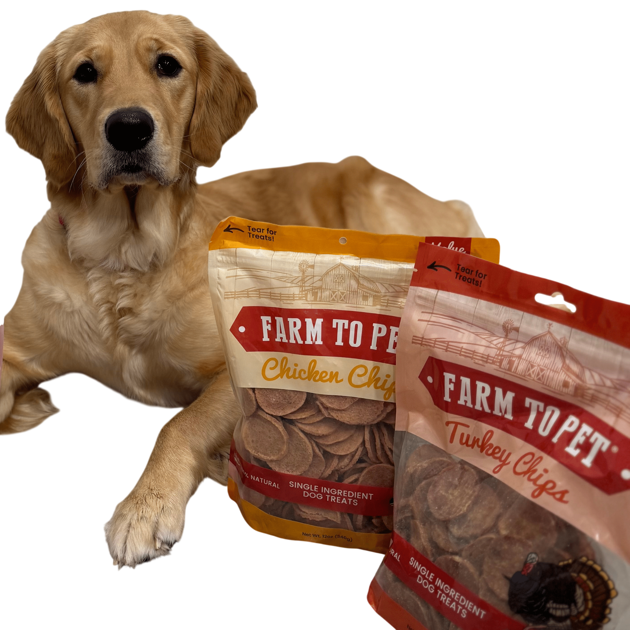 Turkey & Chicken Chip Dog Treat Duo | Single-Ingredient Poultry Treats for Dogs