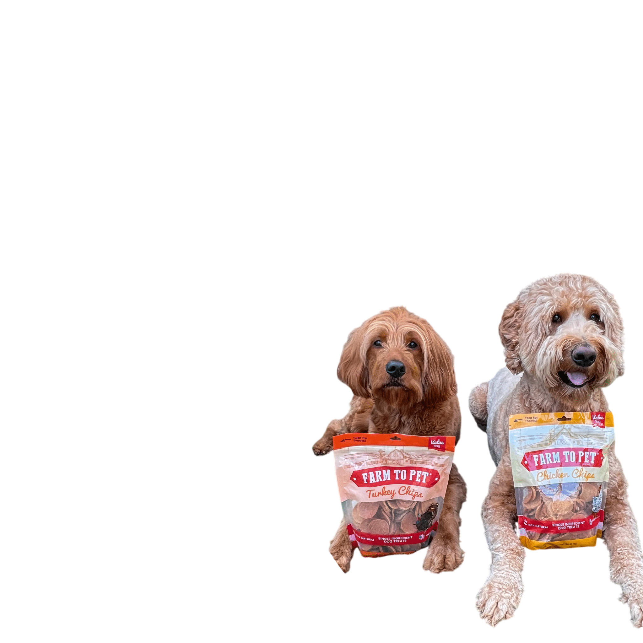 Turkey & Chicken Chip Dog Treat Duo | Single-Ingredient Poultry Treats for Dogs