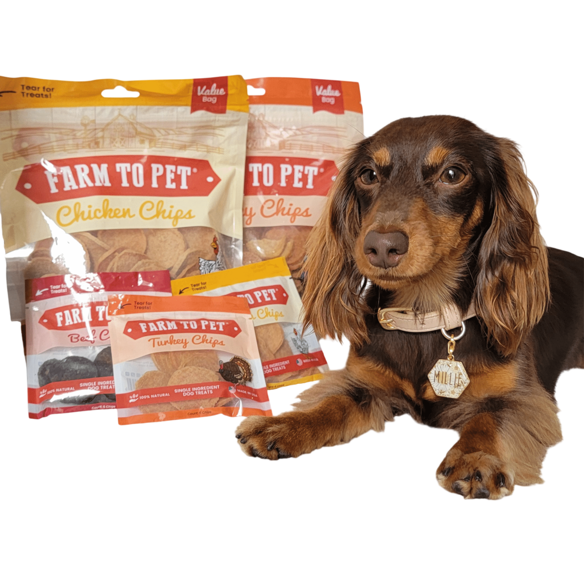 Turkey & Chicken Chip Dog Treat Duo | Single-Ingredient Poultry Treats for Dogs