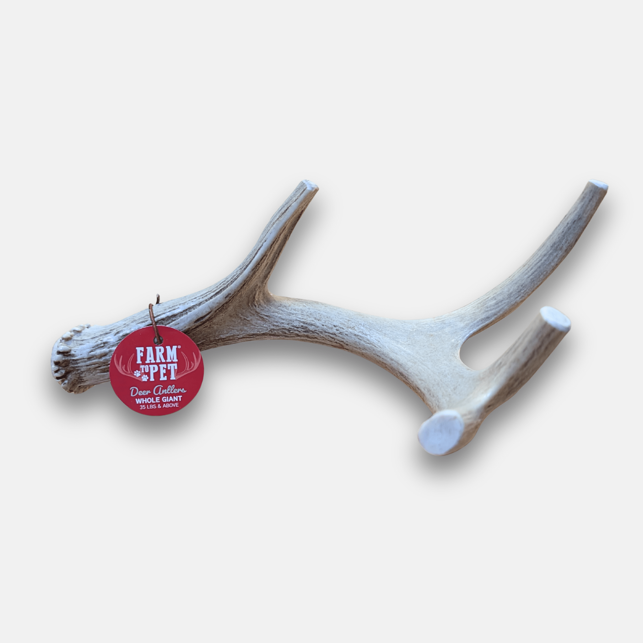 Farm to Pet Organic Whole Deer Antler Dog Chews - Large/XL