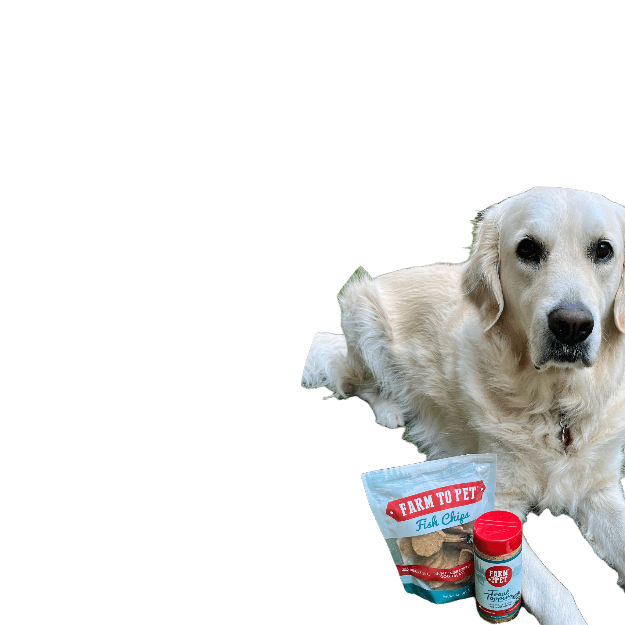 Farm to Pet Fish Chips - Wild-Caught Walleye Dog Treats