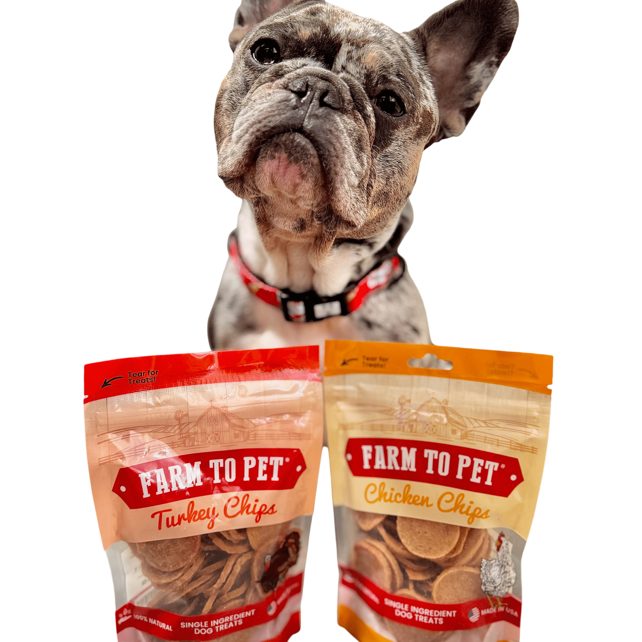 Turkey & Chicken Chip Dog Treat Duo | Single-Ingredient Poultry Treats for Dogs