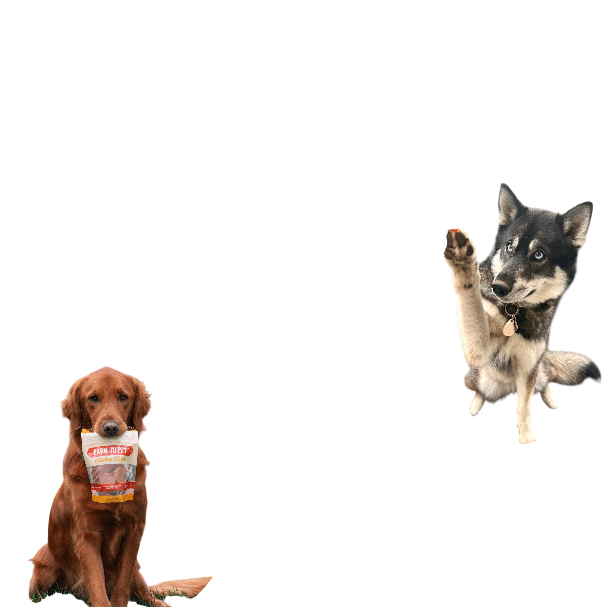Turkey & Chicken Chip Dog Treat Duo | Single-Ingredient Poultry Treats for Dogs