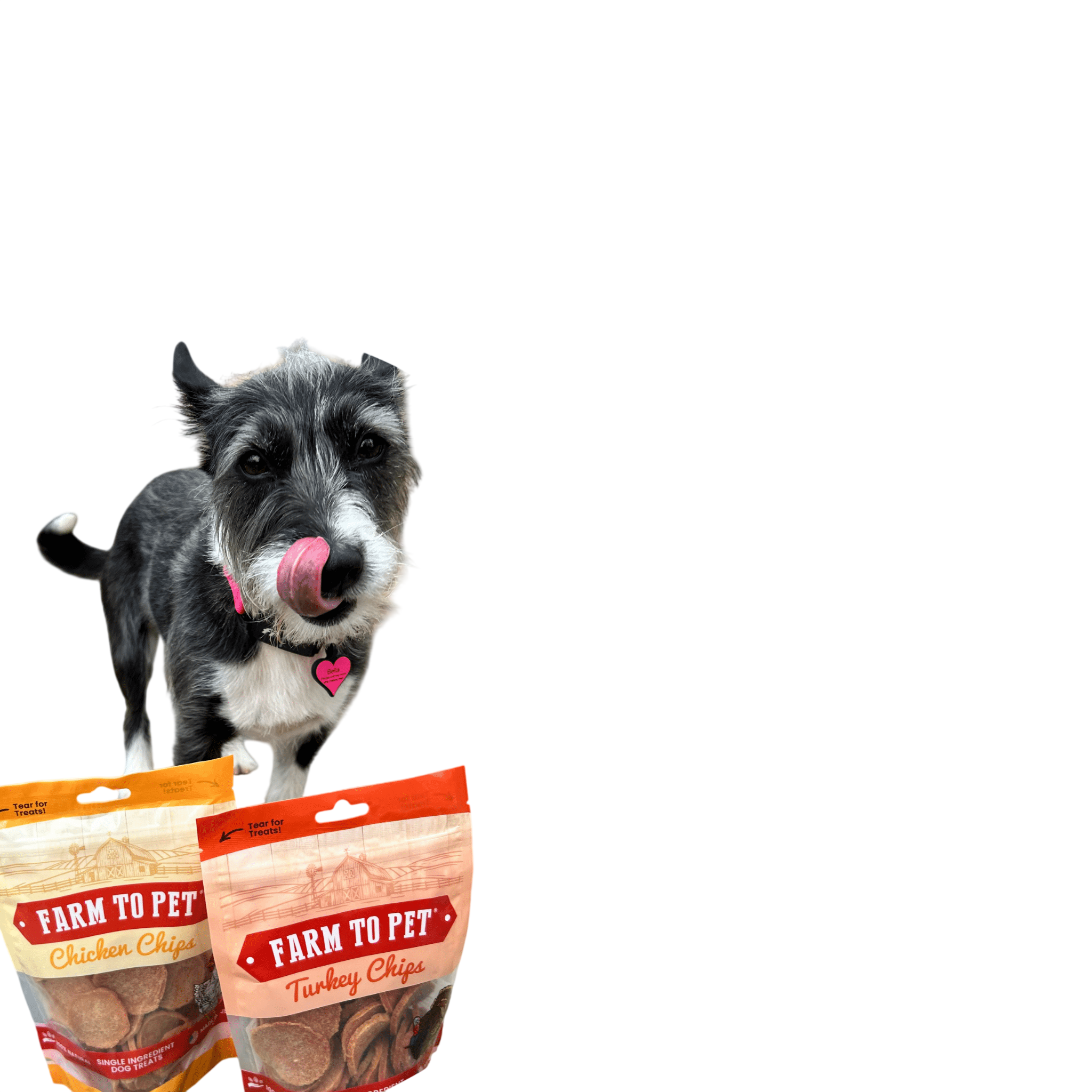 Turkey & Chicken Chip Dog Treat Duo | Single-Ingredient Poultry Treats for Dogs