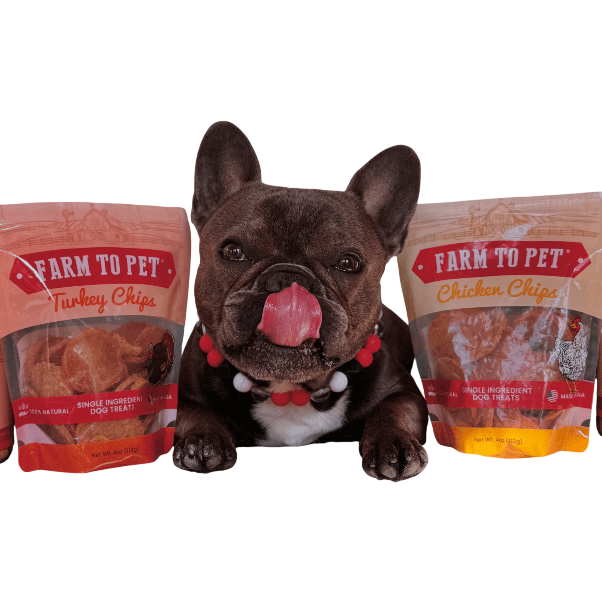 Turkey & Chicken Chip Dog Treat Duo | Single-Ingredient Poultry Treats for Dogs