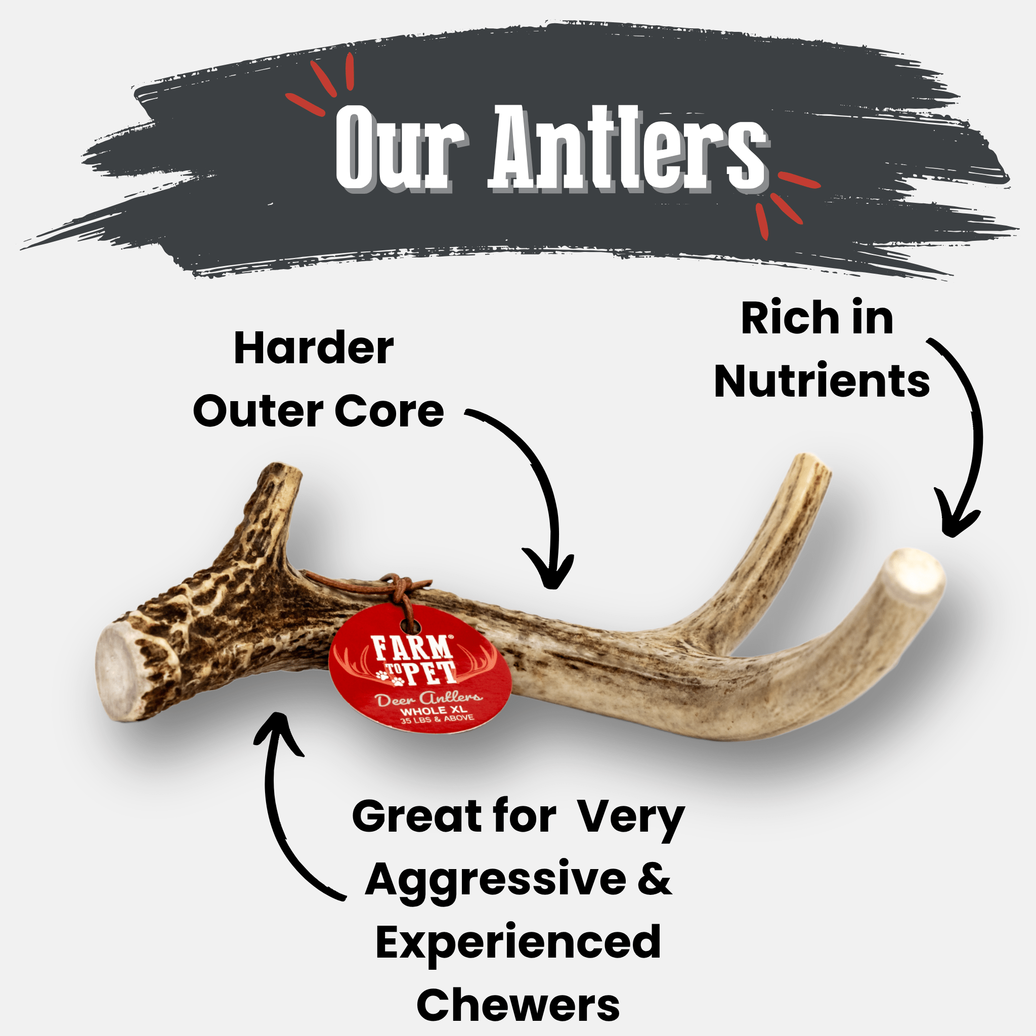 Farm to Pet Organic Whole Deer Antler Dog Chews - Large/XL