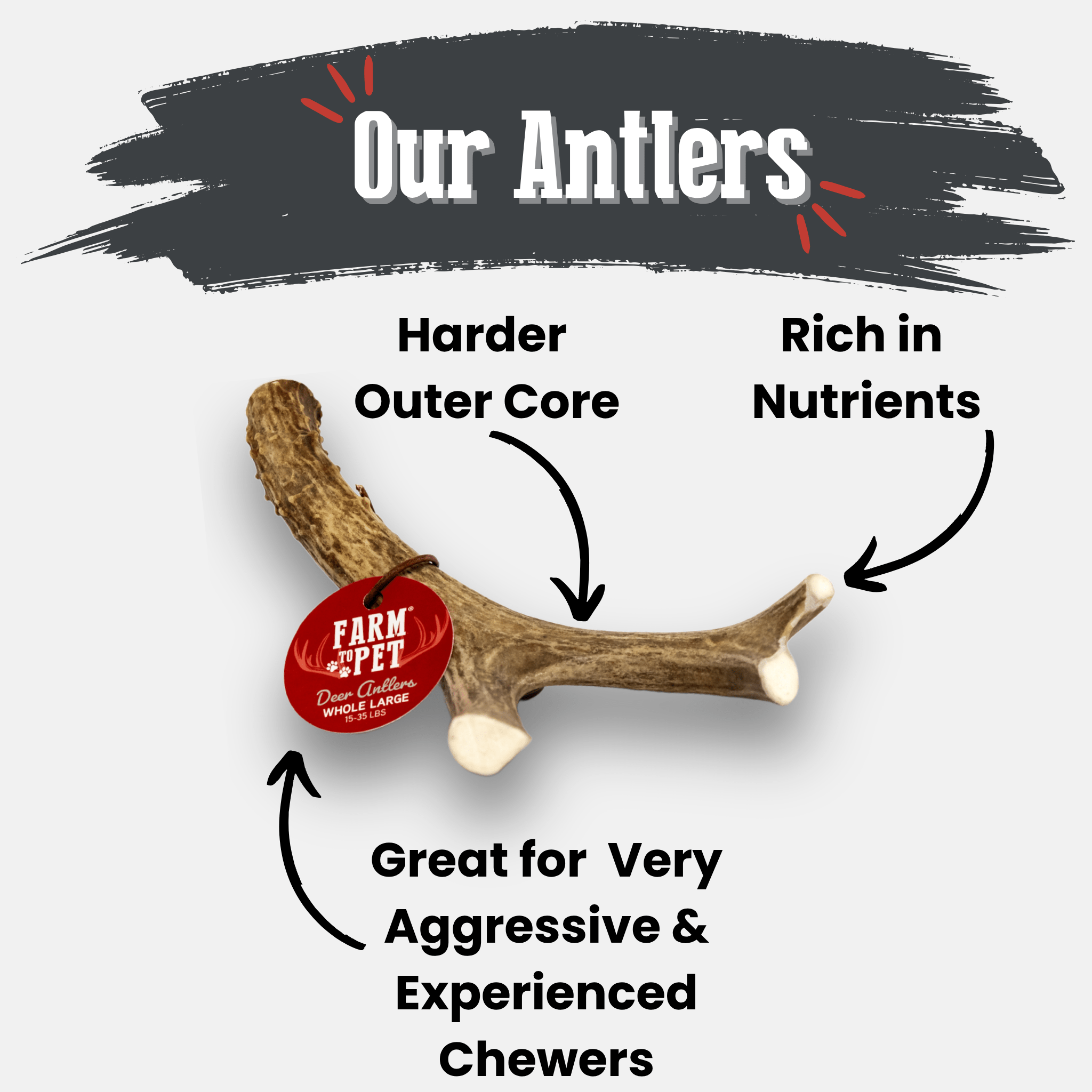 Farm to Pet Organic Whole Deer Antler Dog Chews - Large/XL