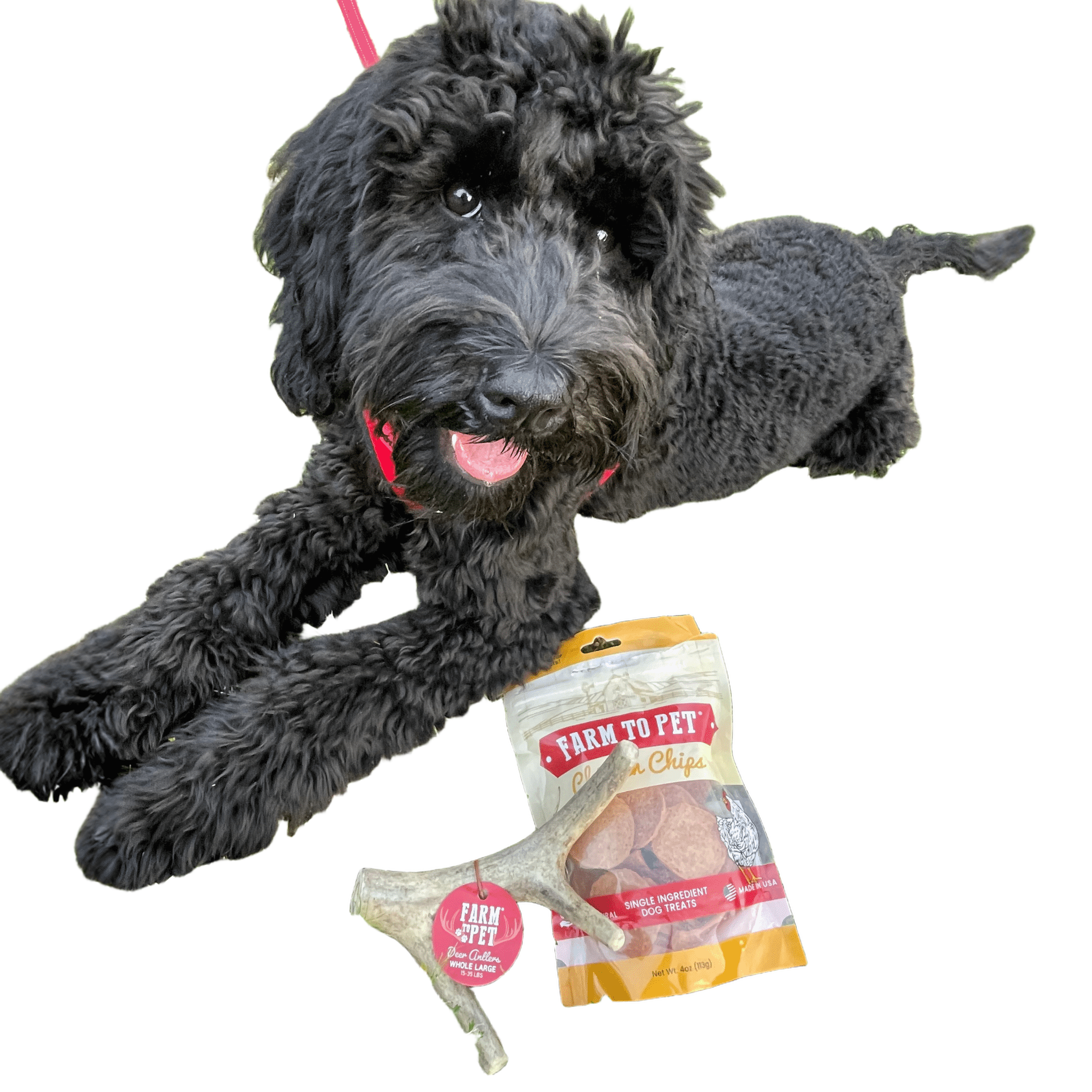 Farm to Pet Organic Whole Deer Antler Dog Chews - Large/XL