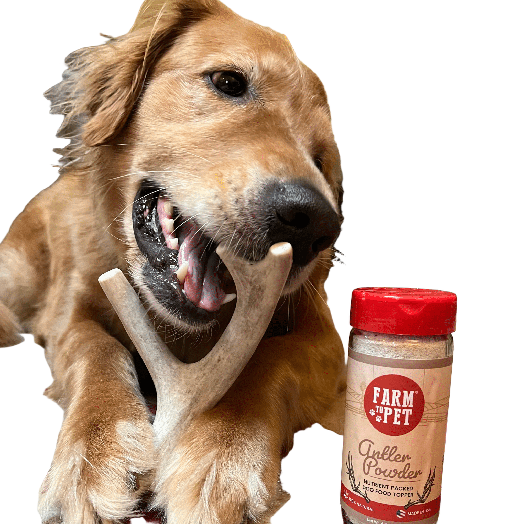 Farm to Pet Organic Whole Deer Antler Dog Chews - Large/XL