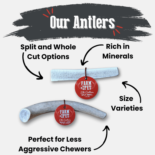 Farm to Pet Elk Antler Dog Chews - Natural Whole & Split Sheds