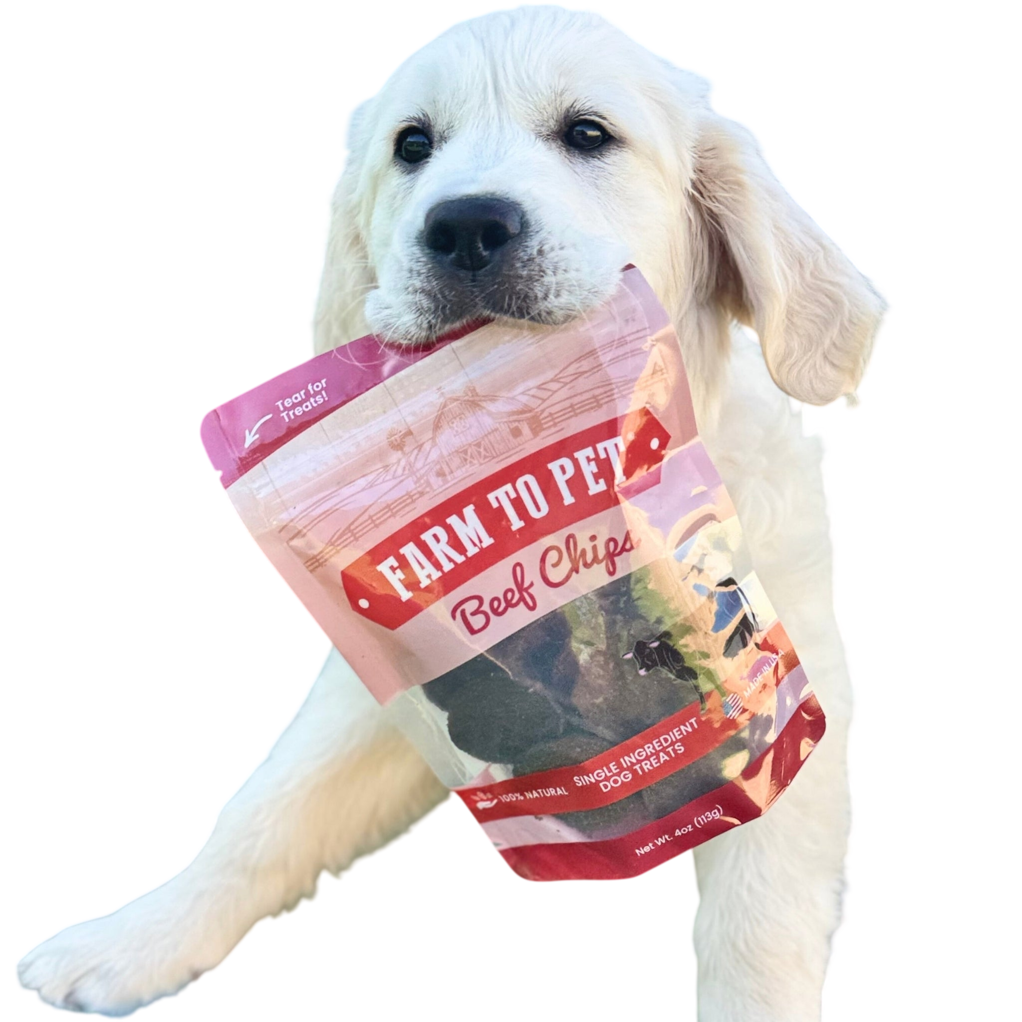 Beef Chips Dog Treats | Single-Ingredient Healthy Treats for Dogs