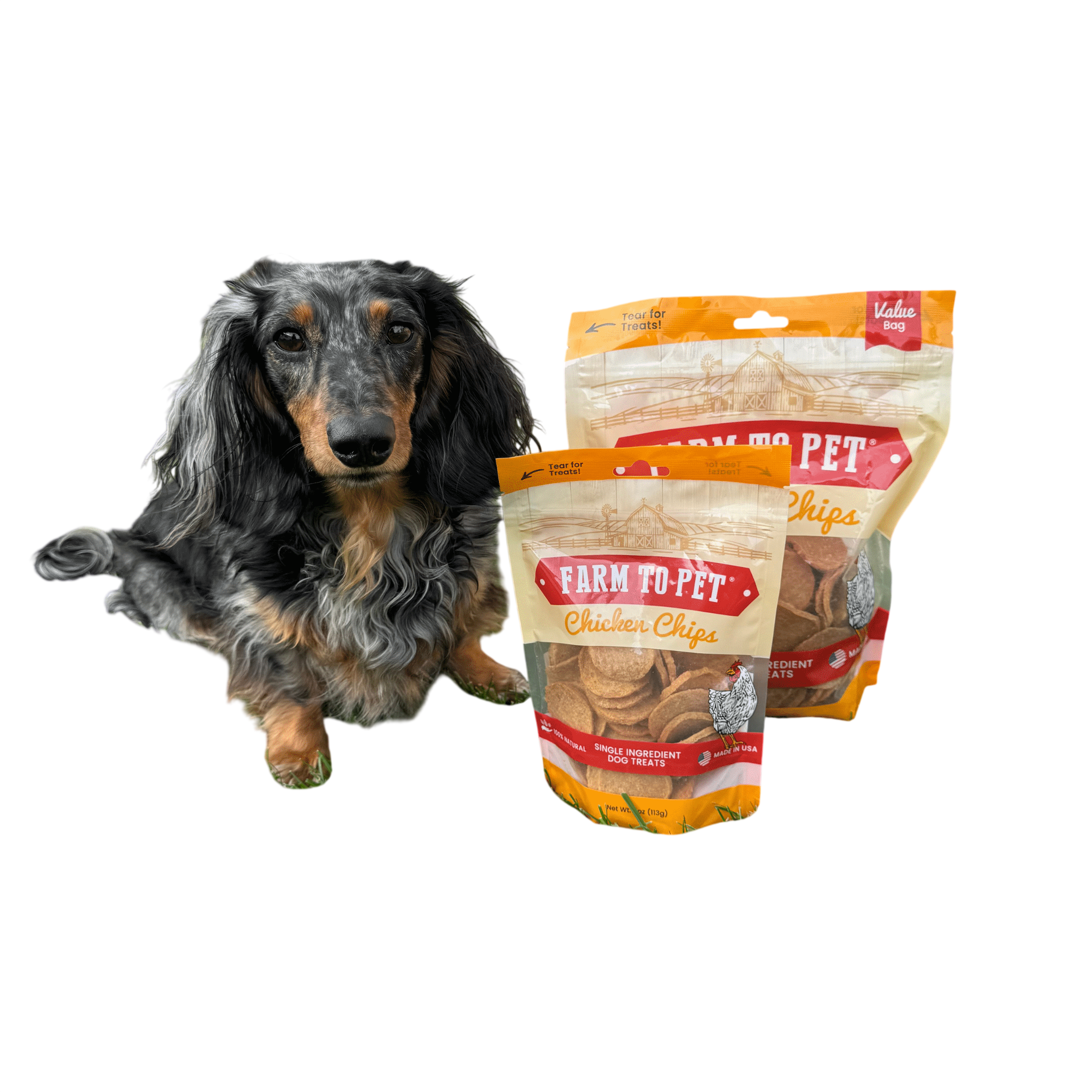 Chicken Chips for Dogs | All-Natural Single-Ingredient Dog Treats