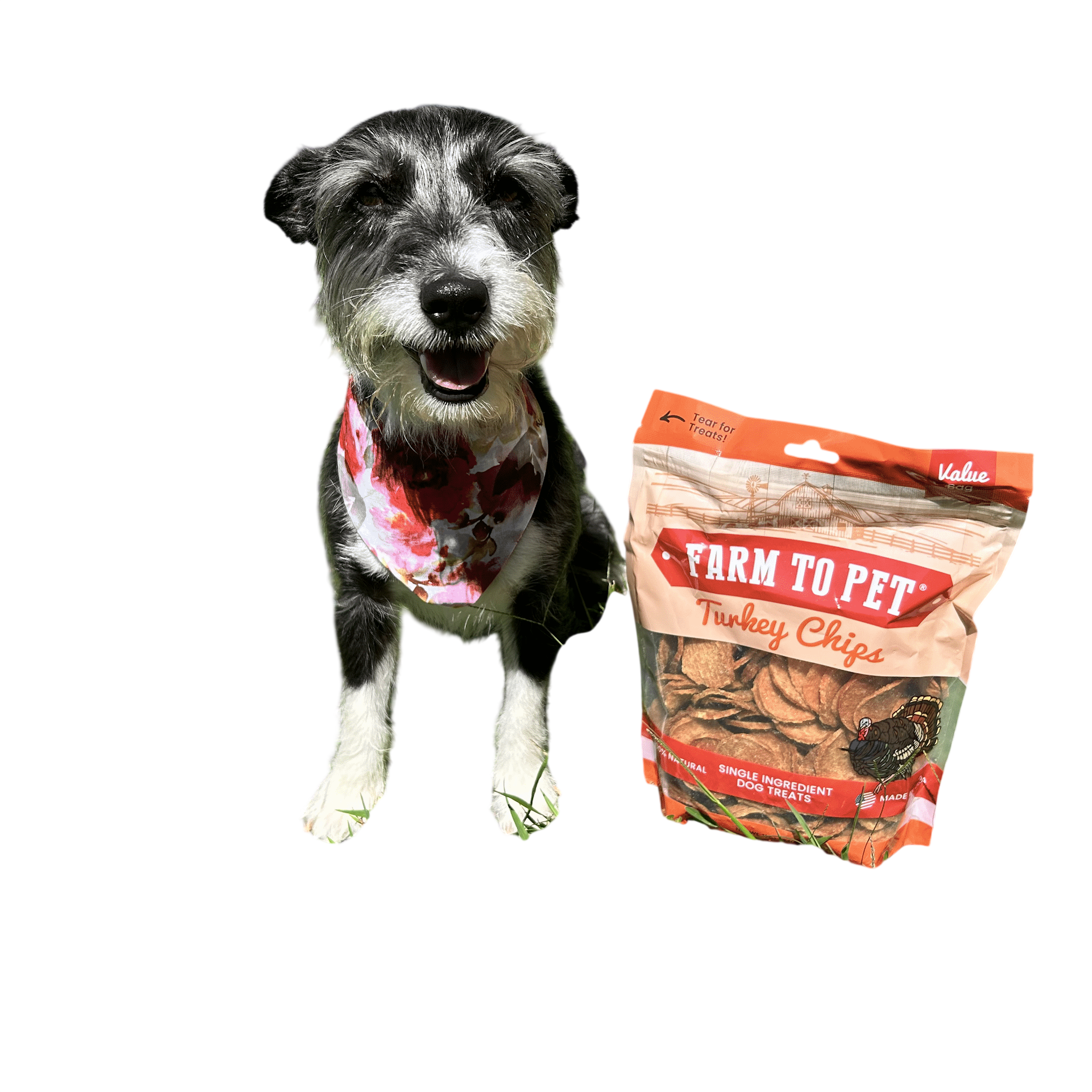 Turkey Chips for Dogs | All-Natural Single-Ingredient Healthy Dog Treats