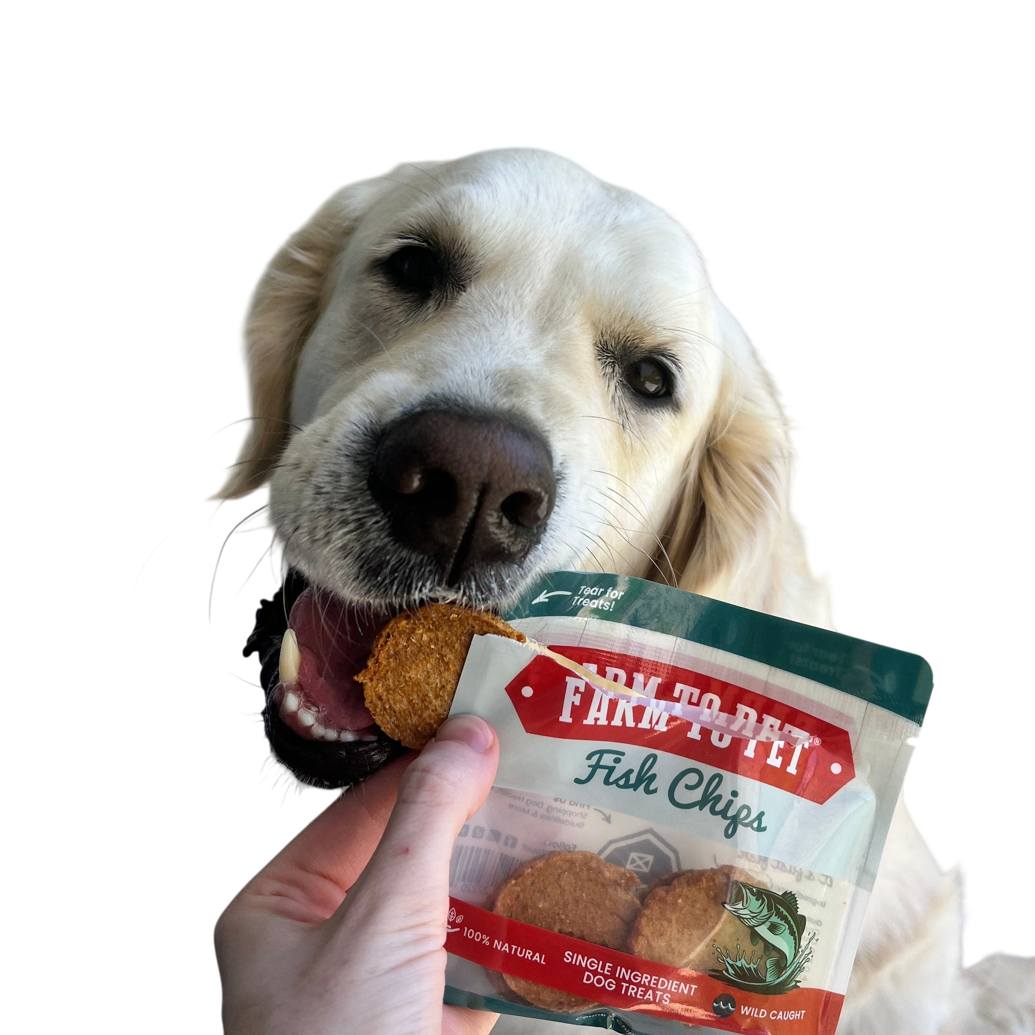 Snack Pack Dog Treat Sampler