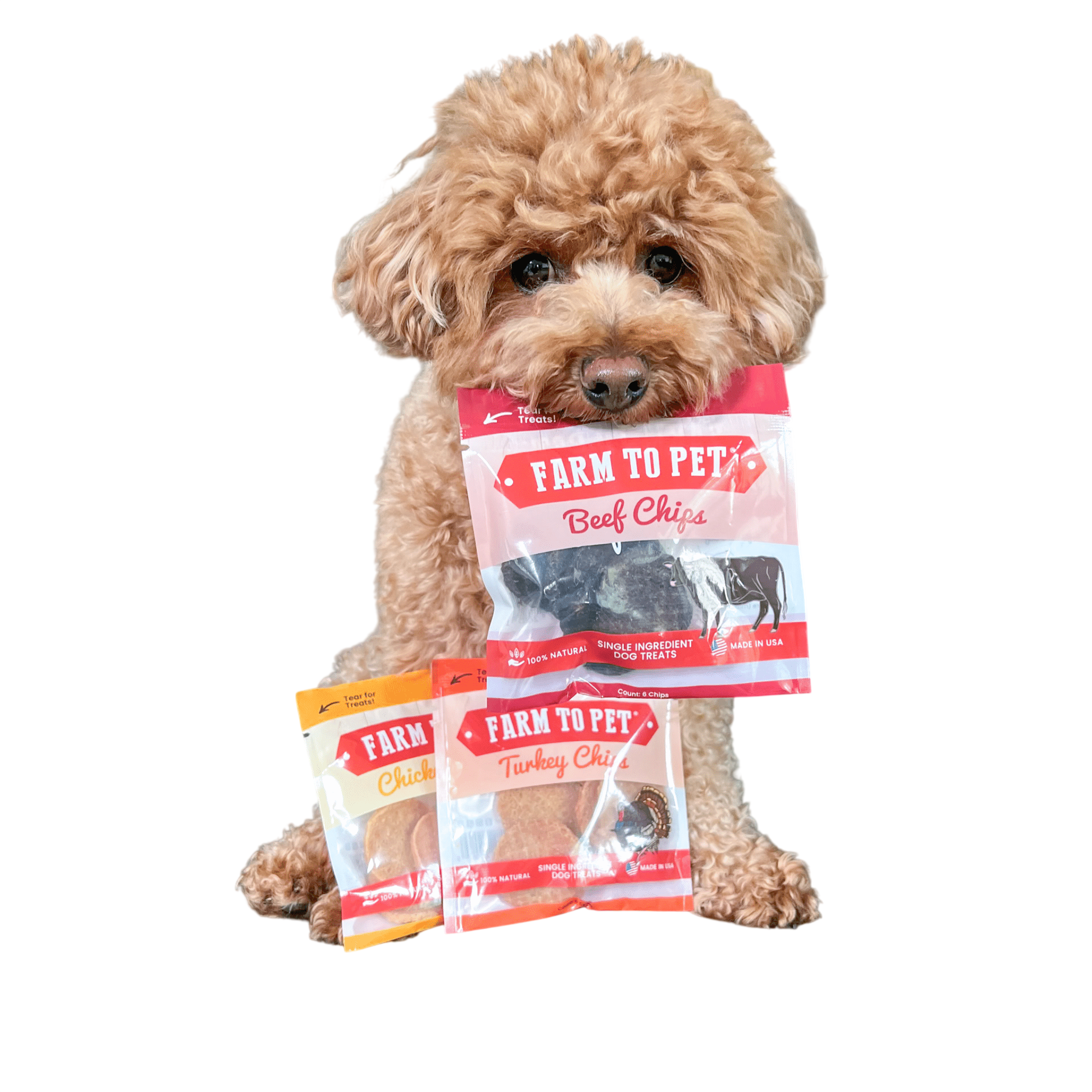 Snack Pack Dog Treat Sampler