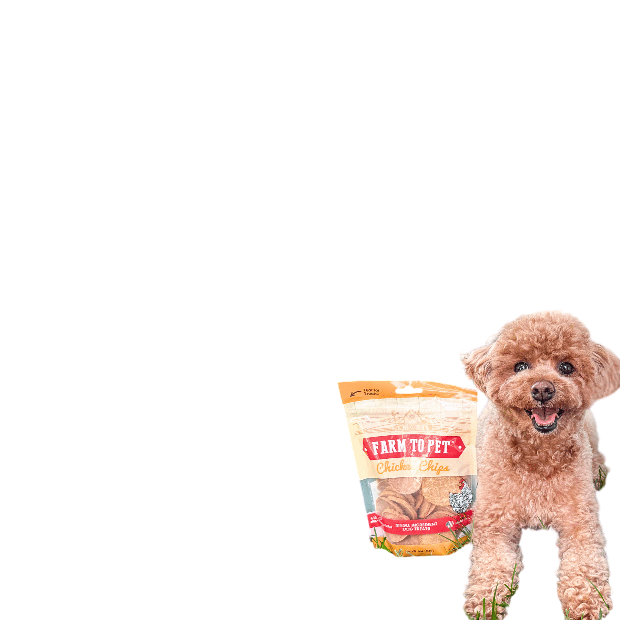 Chicken Chips for Dogs | All-Natural Single-Ingredient Dog Treats
