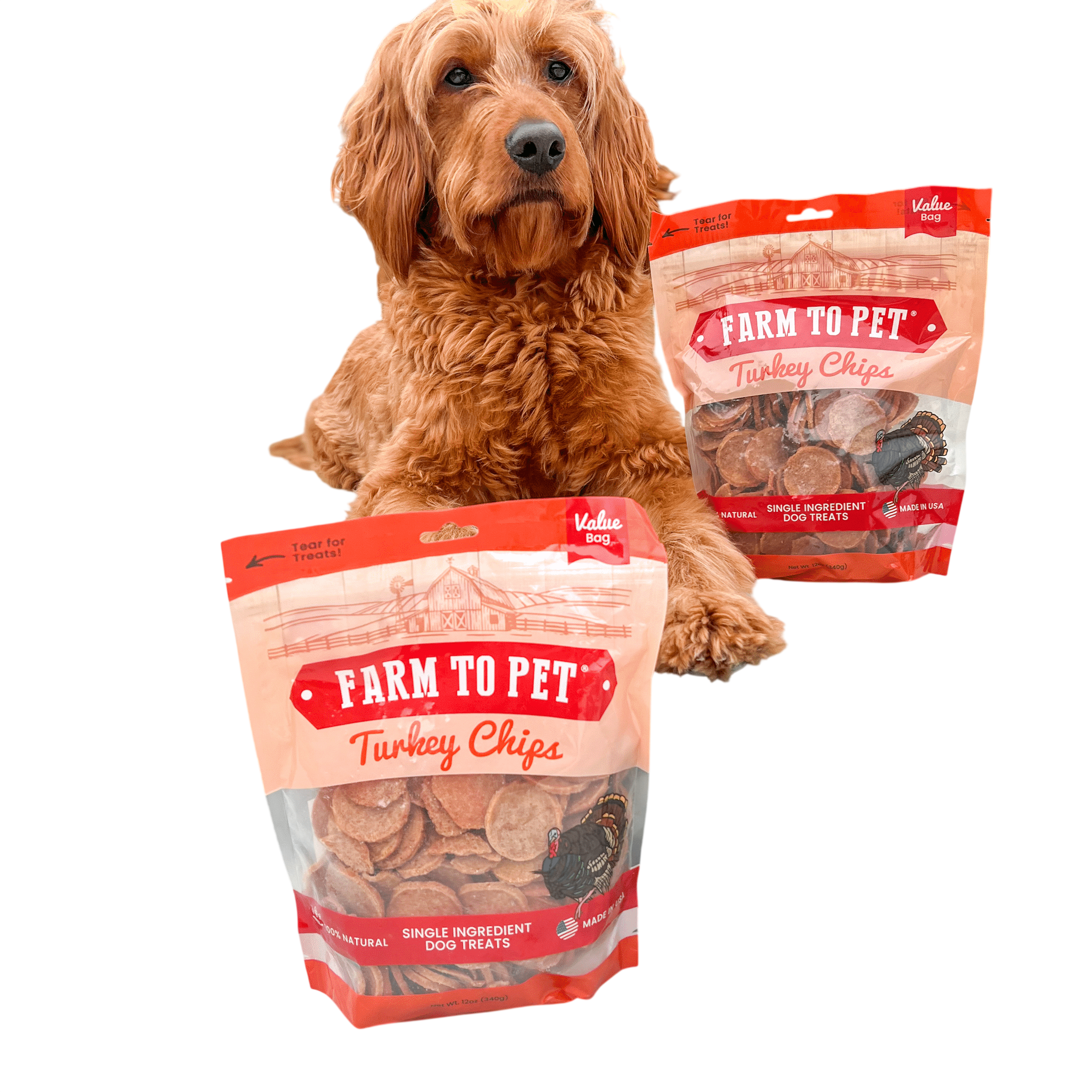 Turkey Chips for Dogs | All-Natural Single-Ingredient Healthy Dog Treats