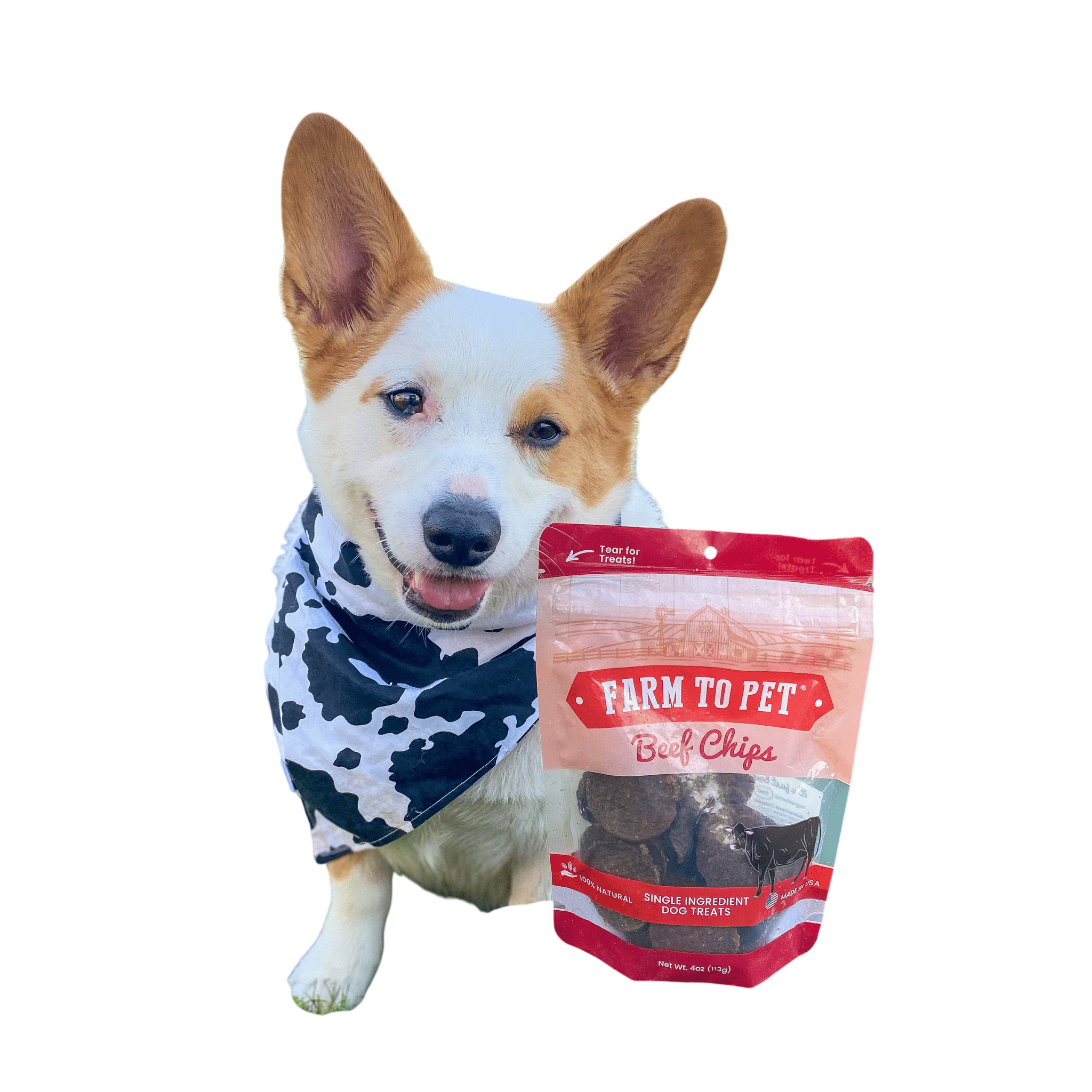 Beef Chips Dog Treats | Single-Ingredient Healthy Treats for Dogs