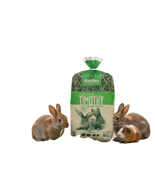 Standlee Timothy Grass Hay 48oz for Small Animals