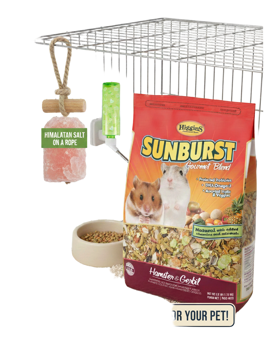 Hamster & Gerbil Bundle - Higgins Food, Lixit Bottle & Salt Rope