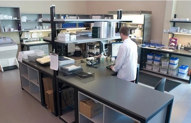 Guinea Pig Interleukin 23 (IL-23) ELISA Kit for Science Research