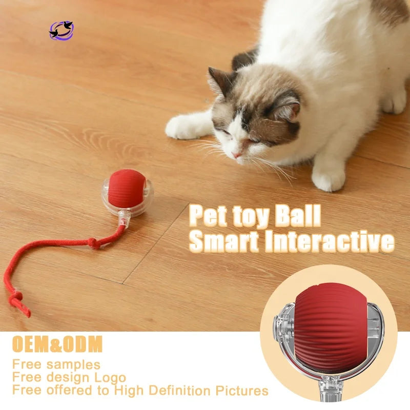 Hot Sale All Design Interactive Smart Ball With Tail Accessories Rolling on Carpet Fast Indestructable Rolling Smart Cat Toys