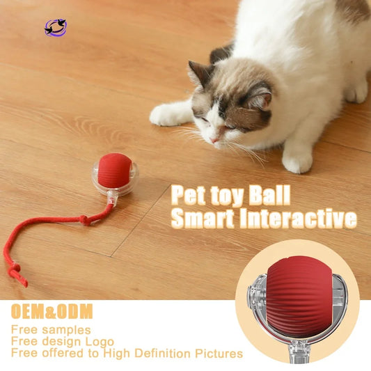 SR Interactive Rolling Smart Cat Ball Toy with Tail Accessory