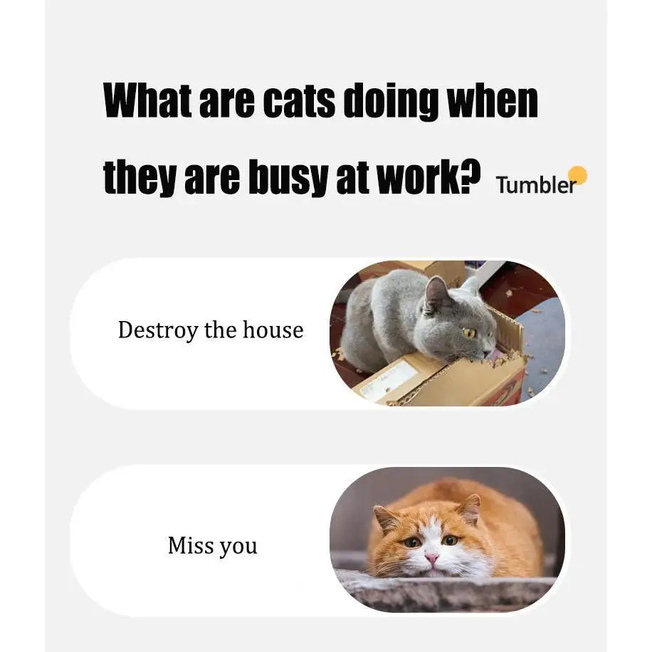 Smart Movement Automatic Rolling Cat Toys Classic Style Indoor Self-Entertainment Pet Stuff Anxiety Relief Dogs Made in China