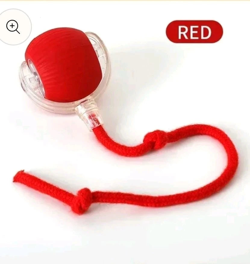 Hot Sale All Design Interactive Smart Ball With Tail Accessories Rolling on Carpet Fast Indestructable Rolling Smart Cat Toys