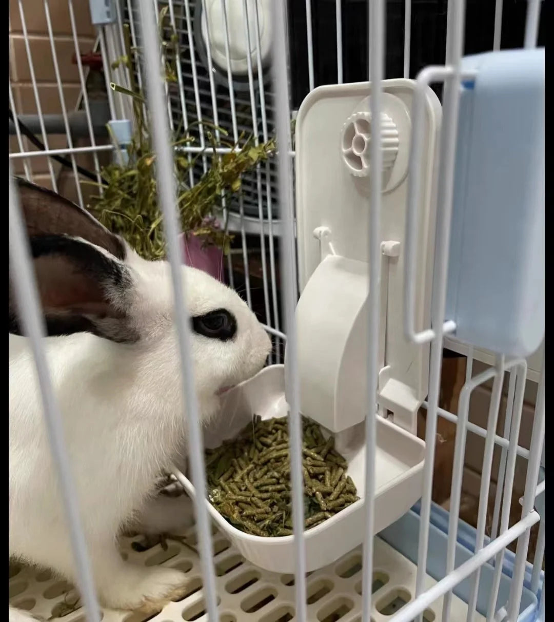 Automatic Pet Cage Hanging Food Feeder 2.5L Capacity Timed or Tuya Wifi App Control Feeder for Small Cat Dog Rabbit Hamster