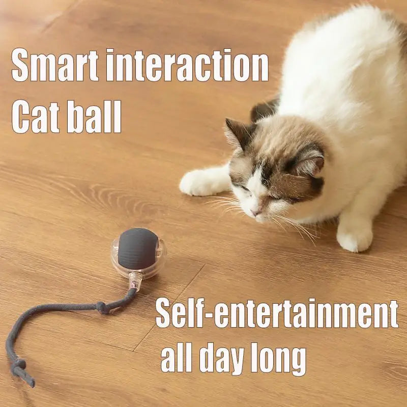 Smart Movement Automatic Rolling Cat Toys Classic Style Indoor Self-Entertainment Pet Stuff Anxiety Relief Dogs Made in China