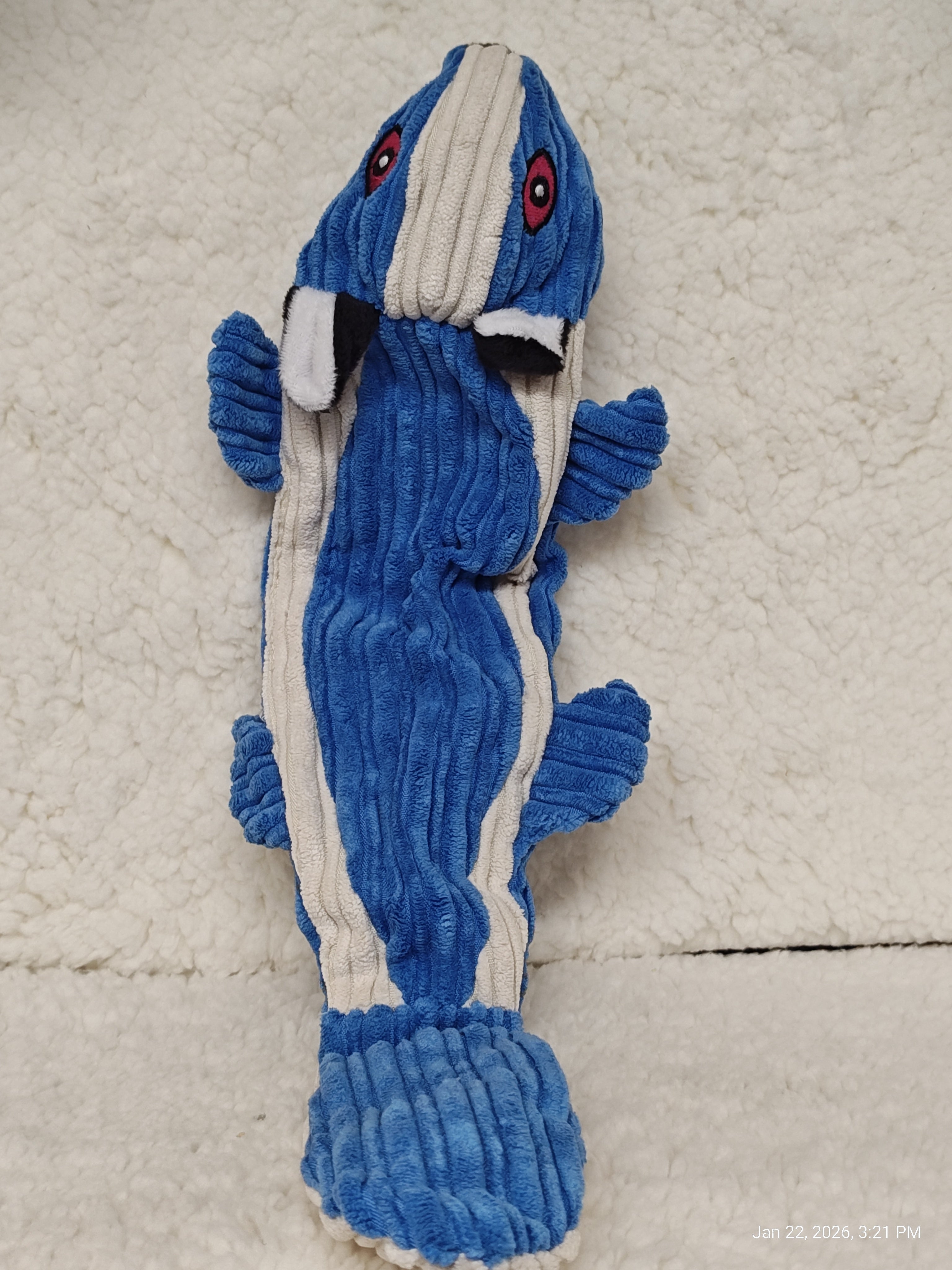 Dog Toys Stuffed, Crinkle or Tug – Playtime Fun by PNC Family FInds