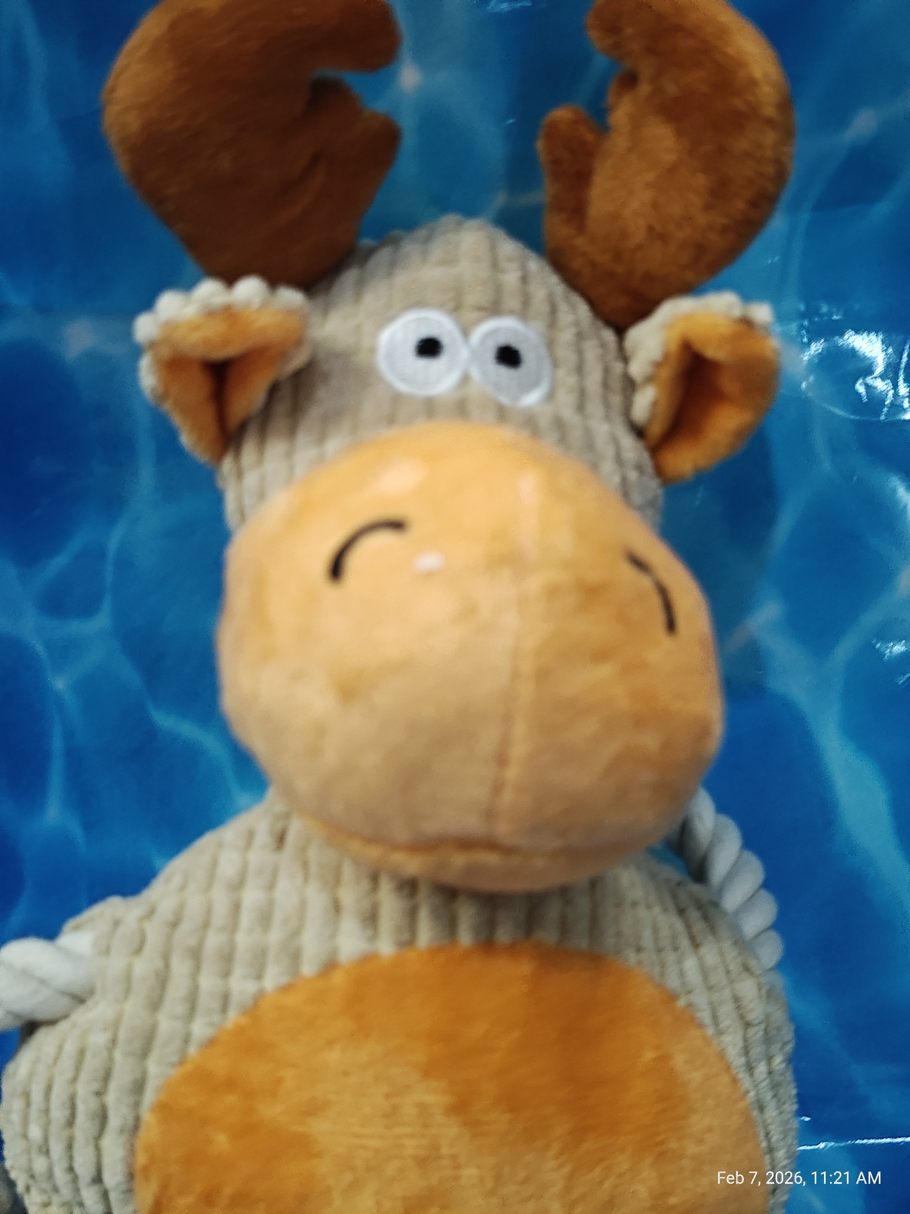 Dog Toys Collection 4 – Unleash the Fun with PNC Family Finds