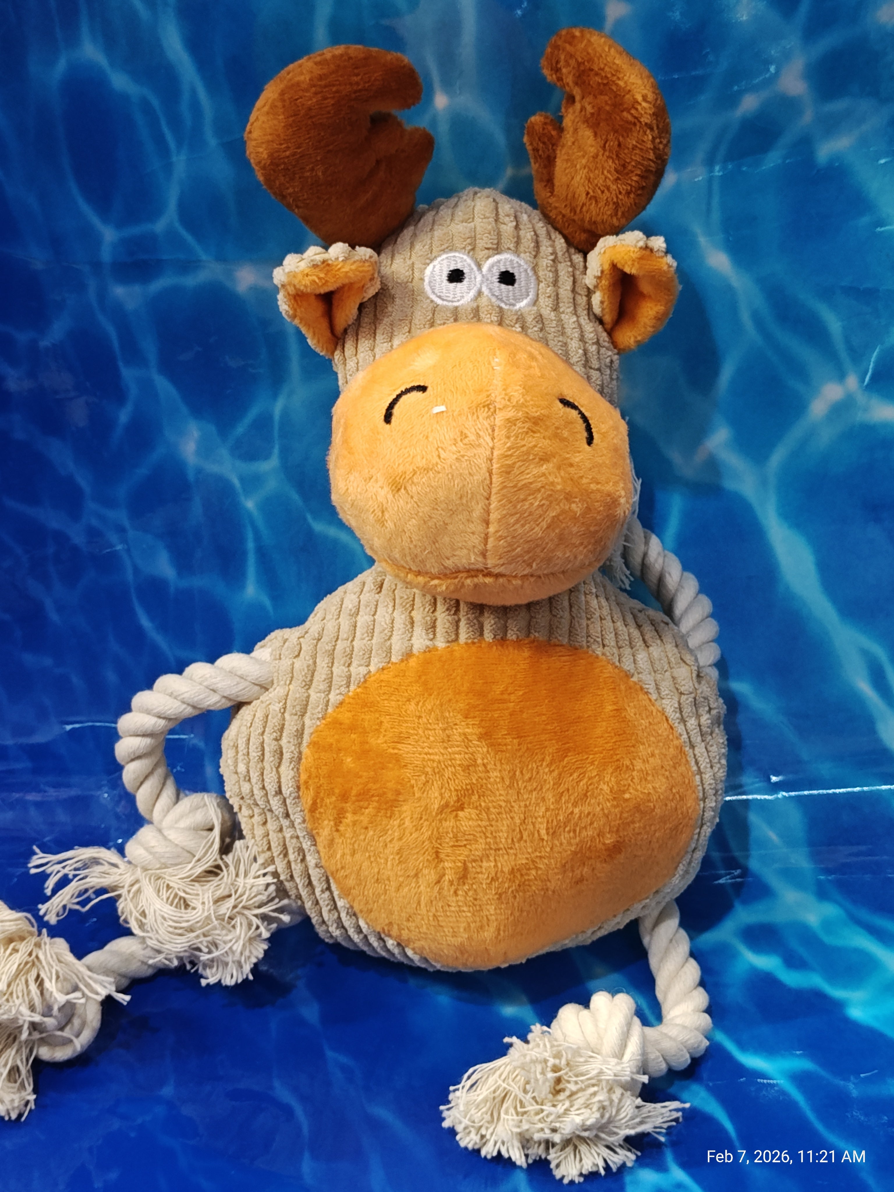 Dog Toys Collection 4 – Unleash the Fun with PNC Family Finds