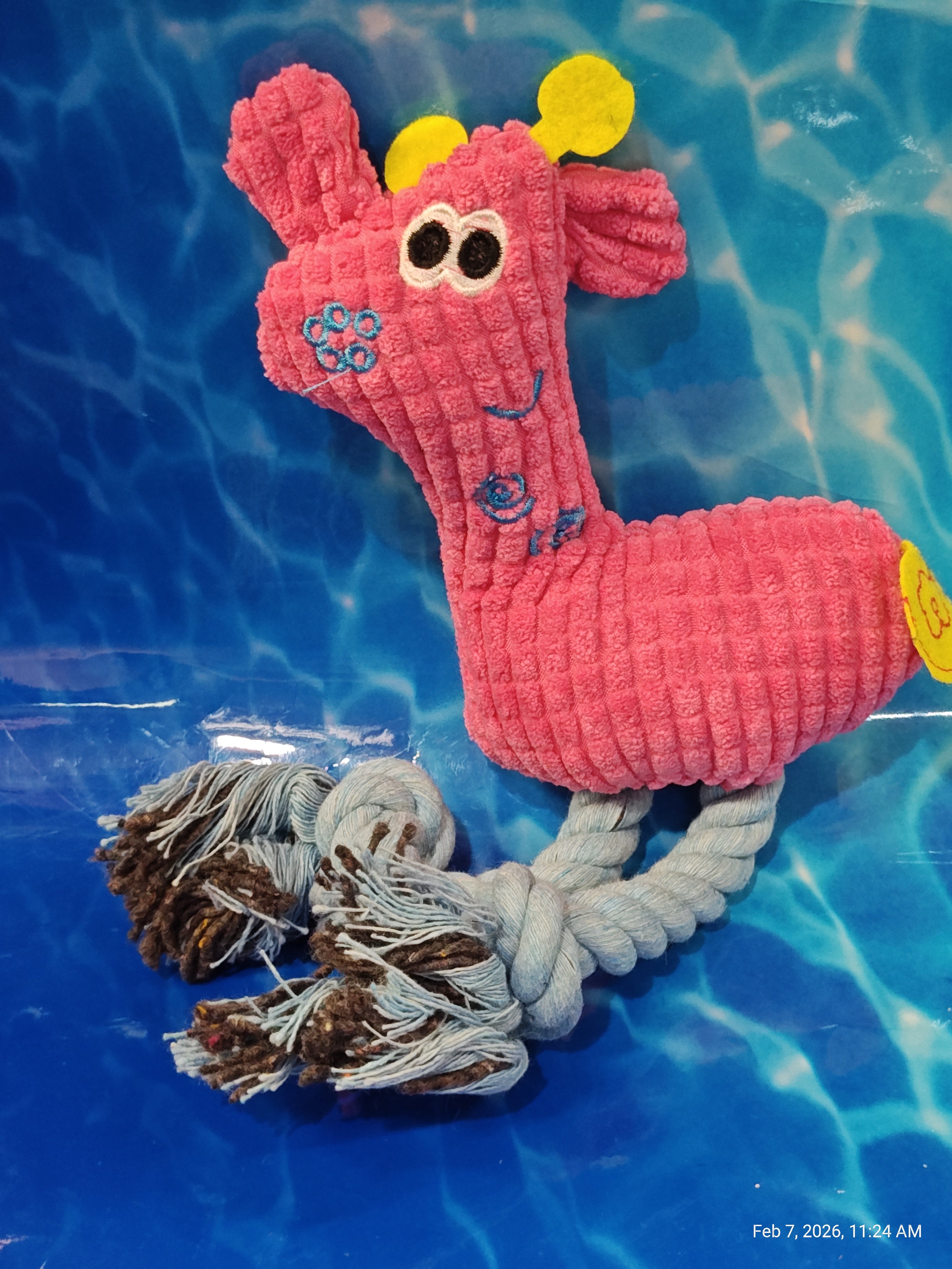 Dog Toys Collection 4 – Unleash the Fun with PNC Family Finds