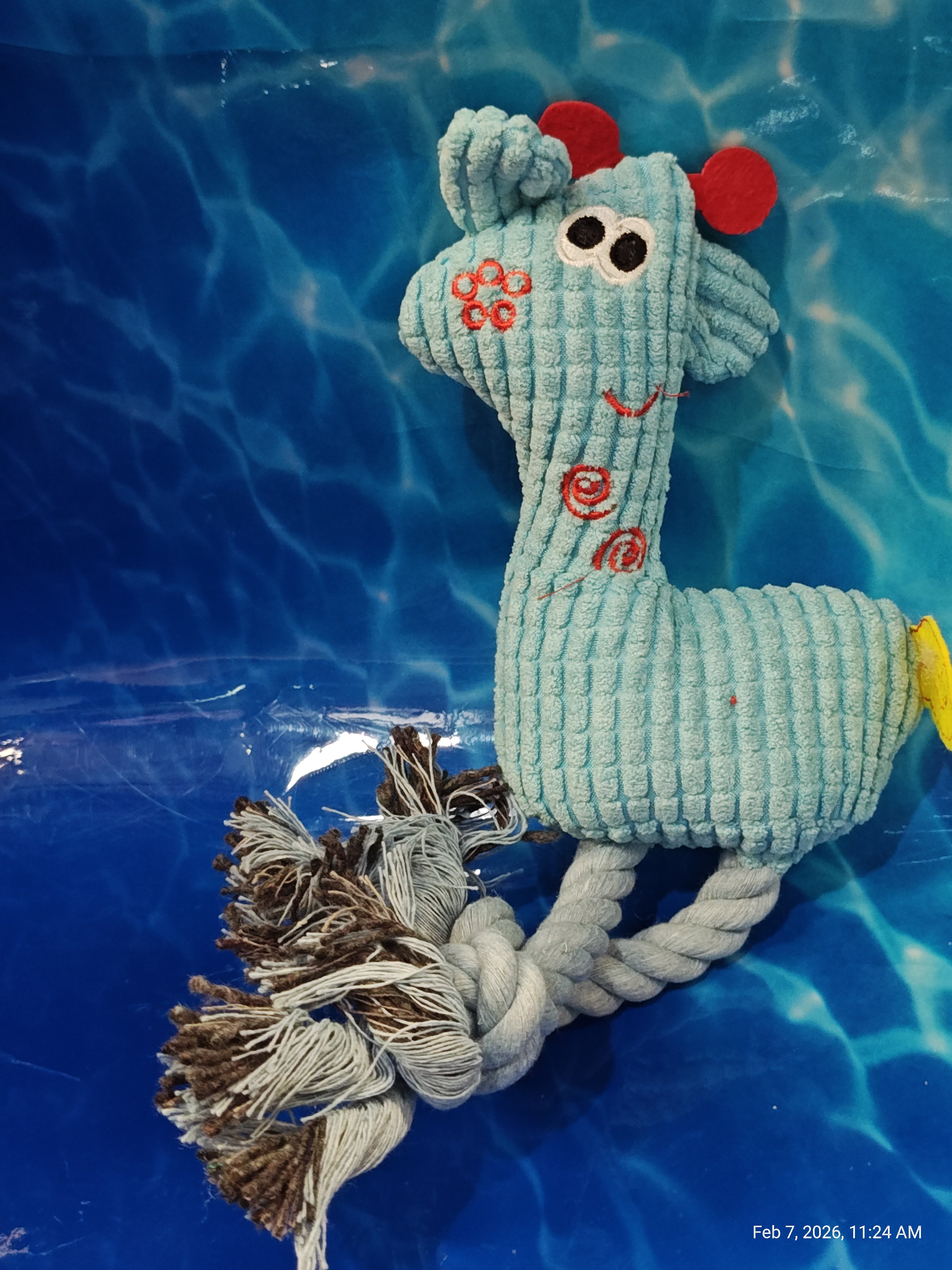 Dog Toys Collection 4 – Unleash the Fun with PNC Family Finds