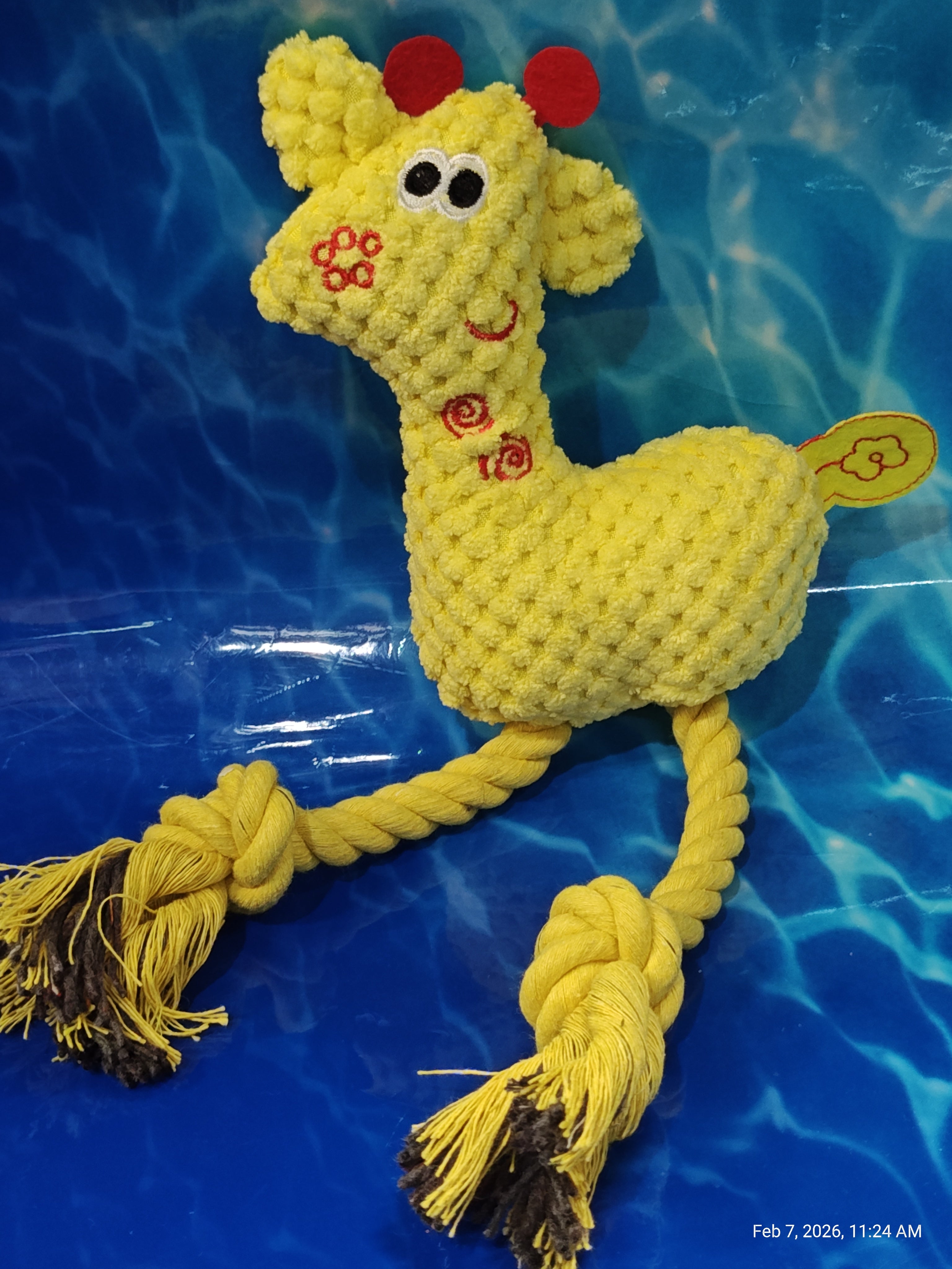 Dog Toys Collection 4 – Unleash the Fun with PNC Family Finds