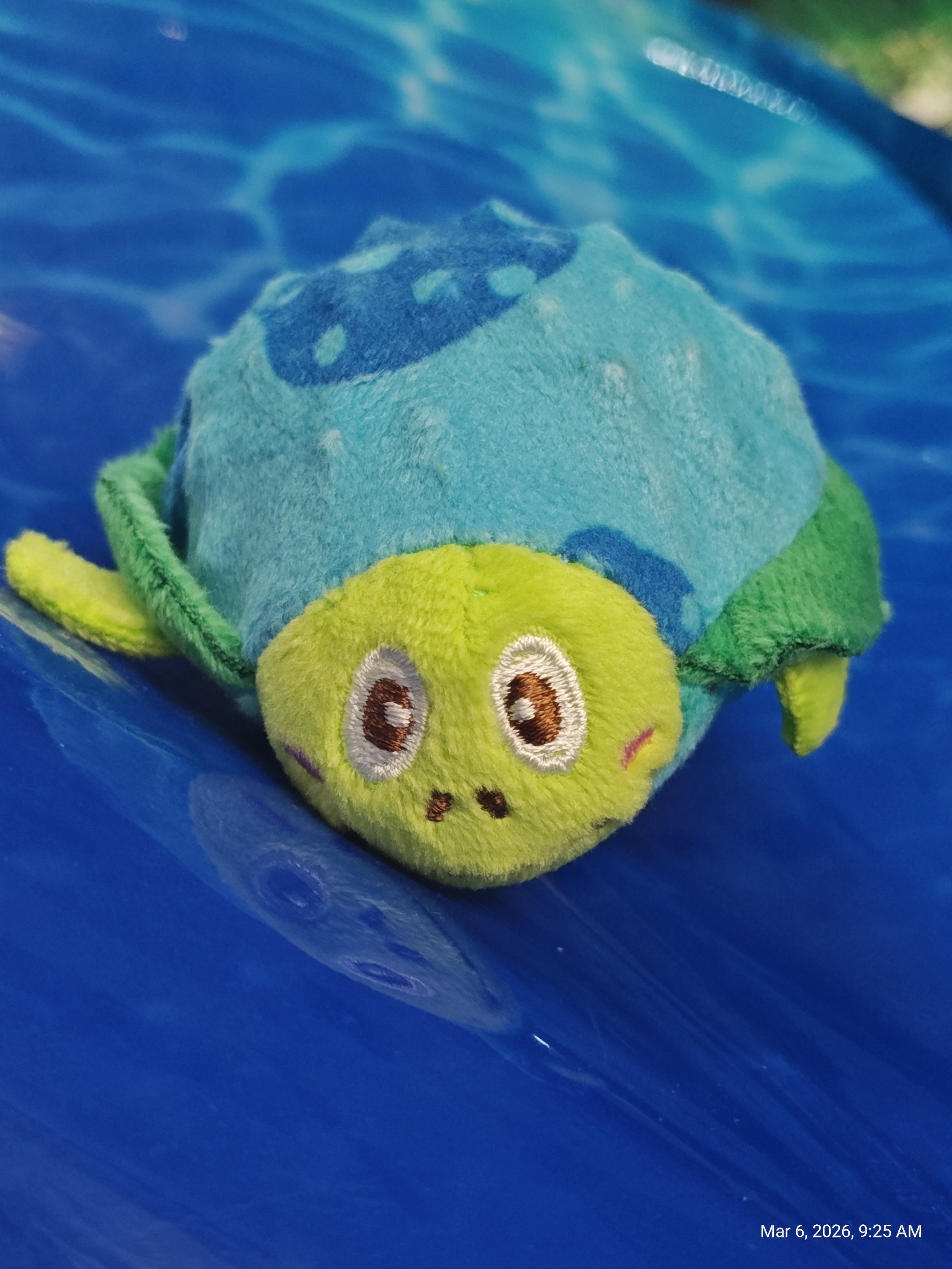 Cute Critter Small Squeaky Ball – Playful Fun for Pets by PNC Family FInds