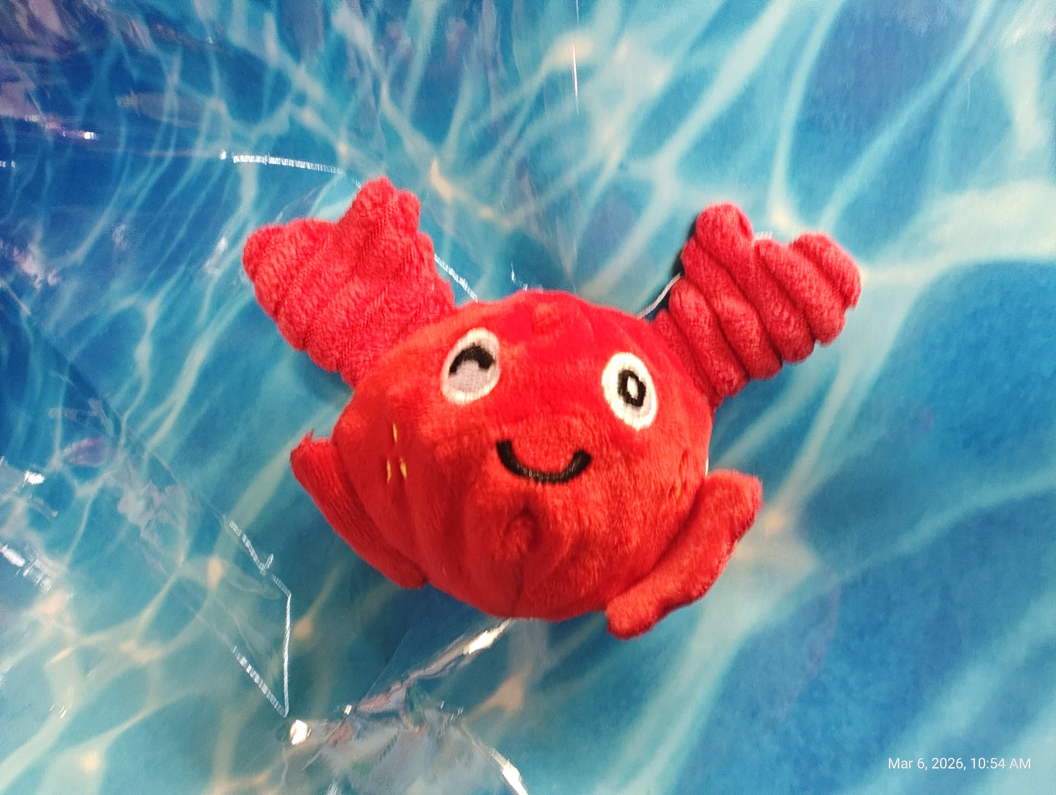 Cute Critter Small Squeaky Ball – Playful Fun for Pets by PNC Family FInds