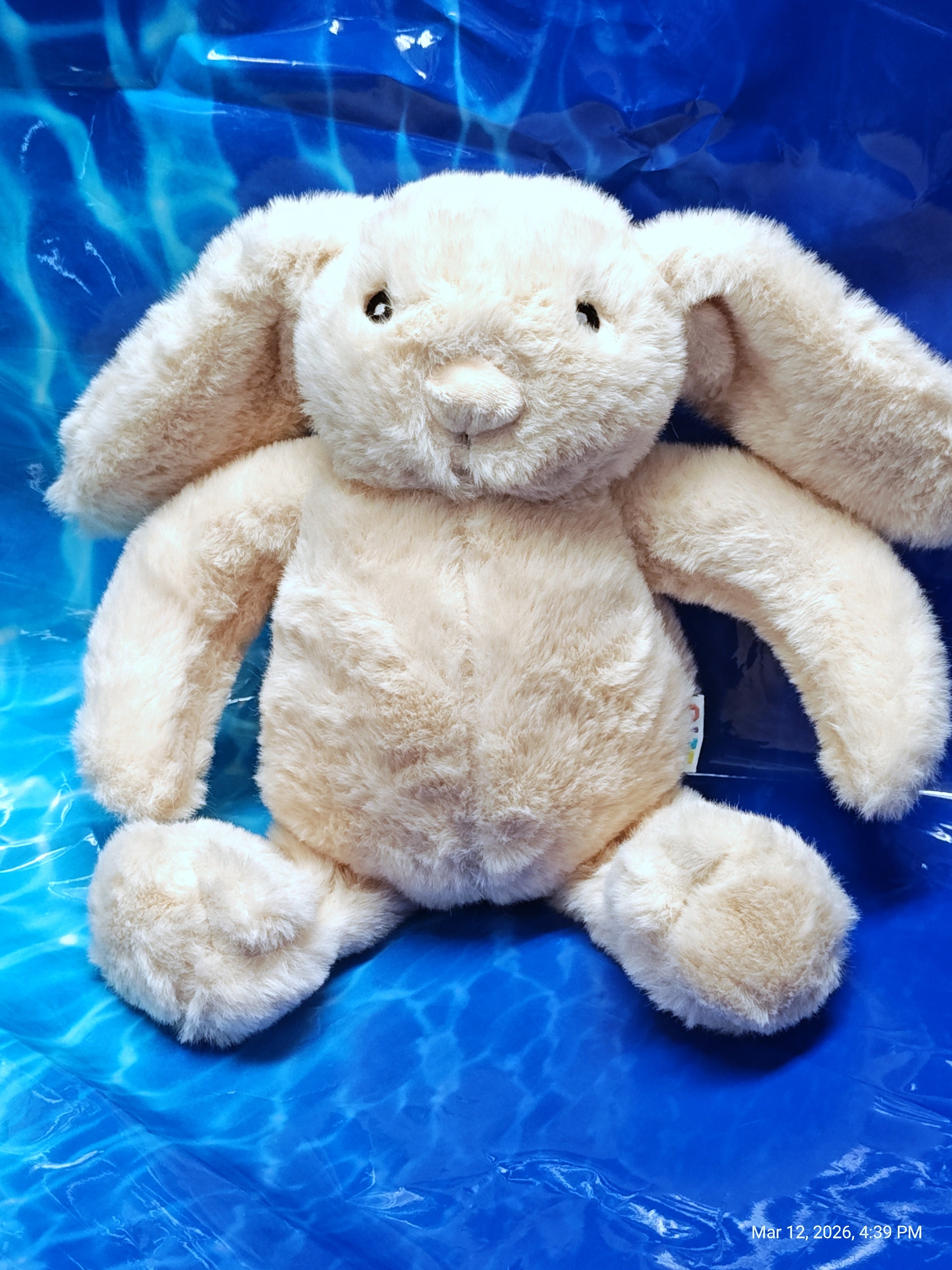 Super Soft Push Toys – Cuddle-Ready Fun by PNC Family FInds