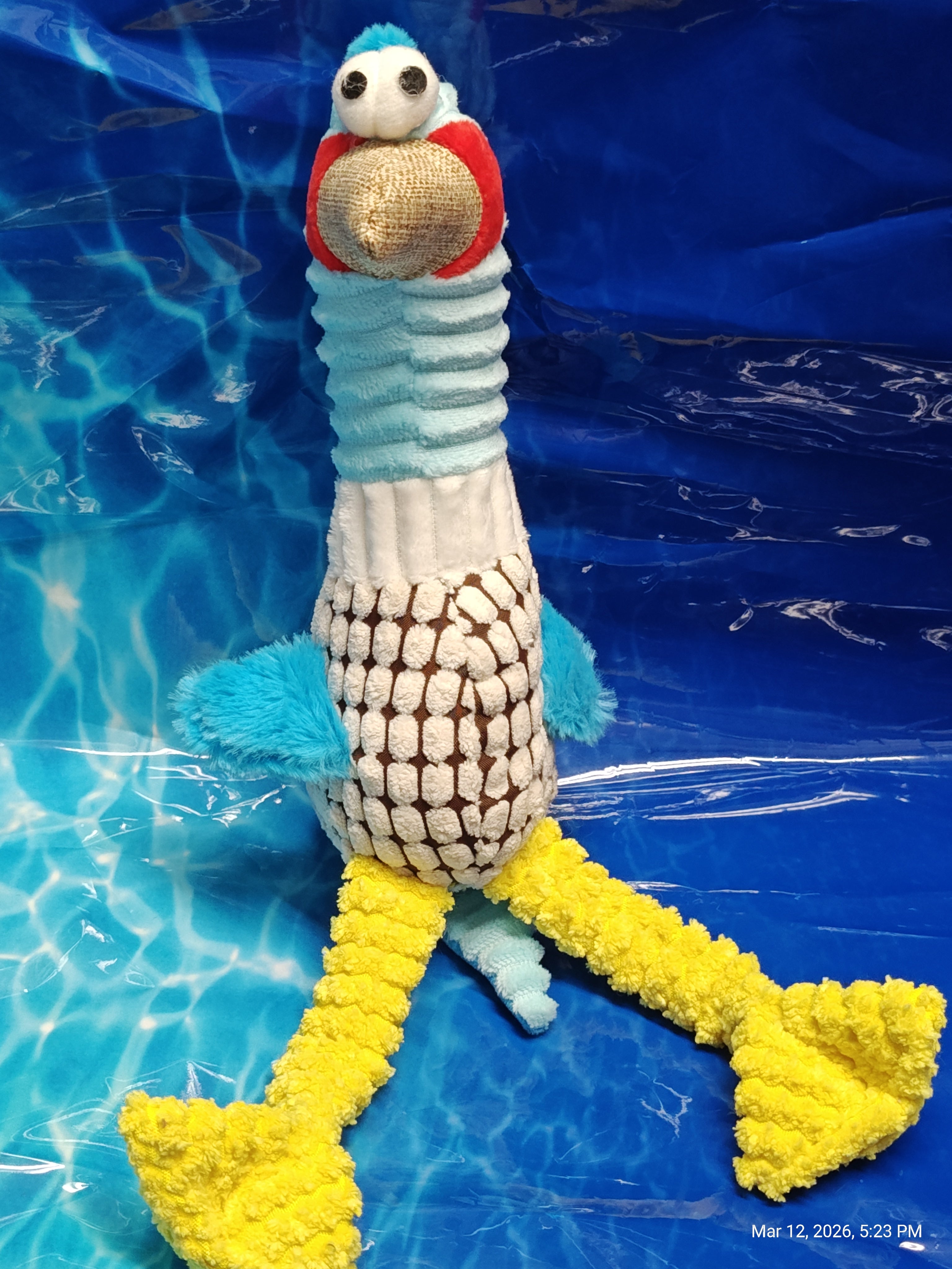 Geese Duck Chickens Oh My - Dog Toys by PNC Family FInds