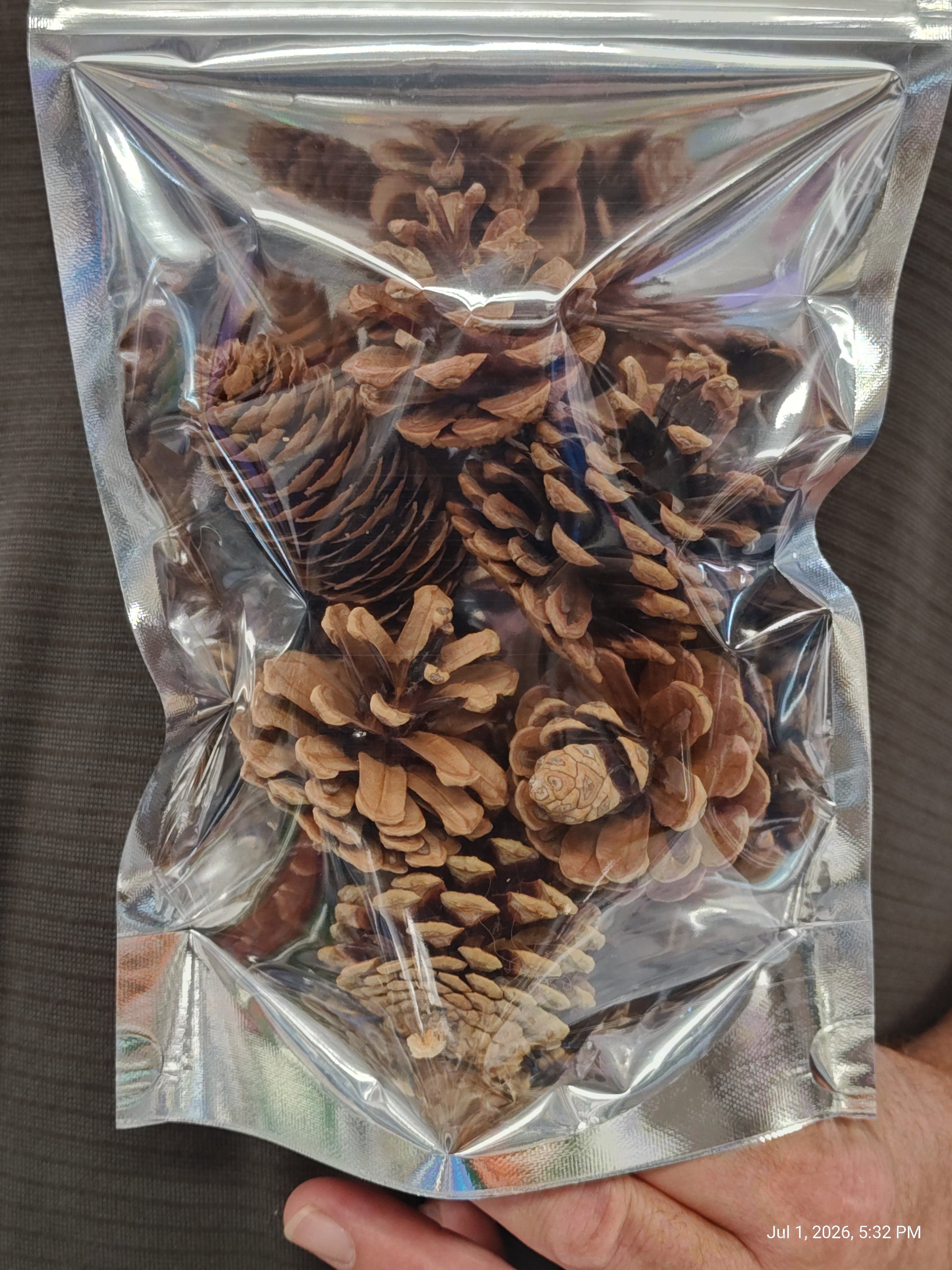 Pine cone Treat/Chews Perfect Rodent & Bird Chews 6 pack