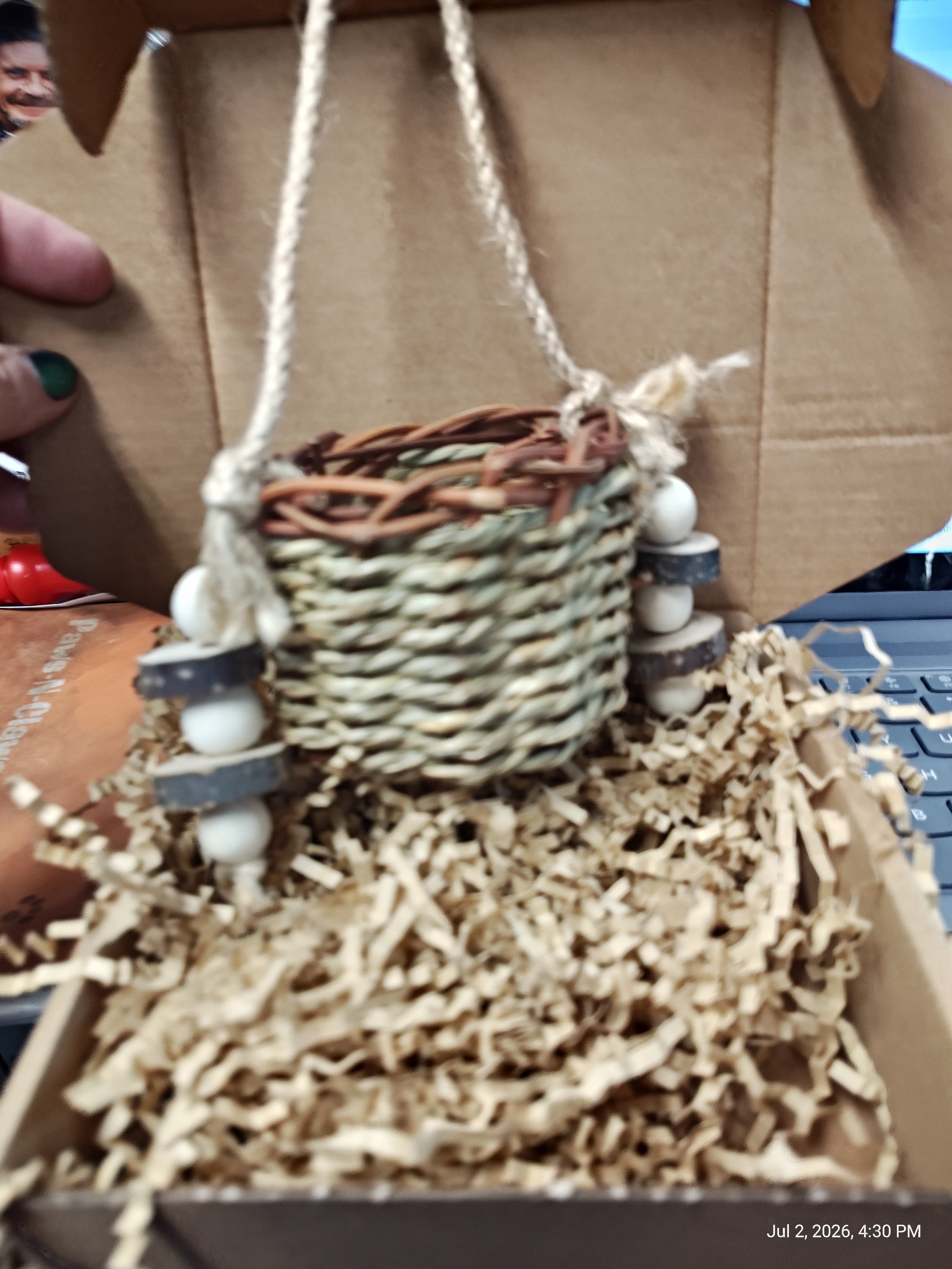 Play & Chew Toys & More Perfect for Cavy, Rabbits & Rodents