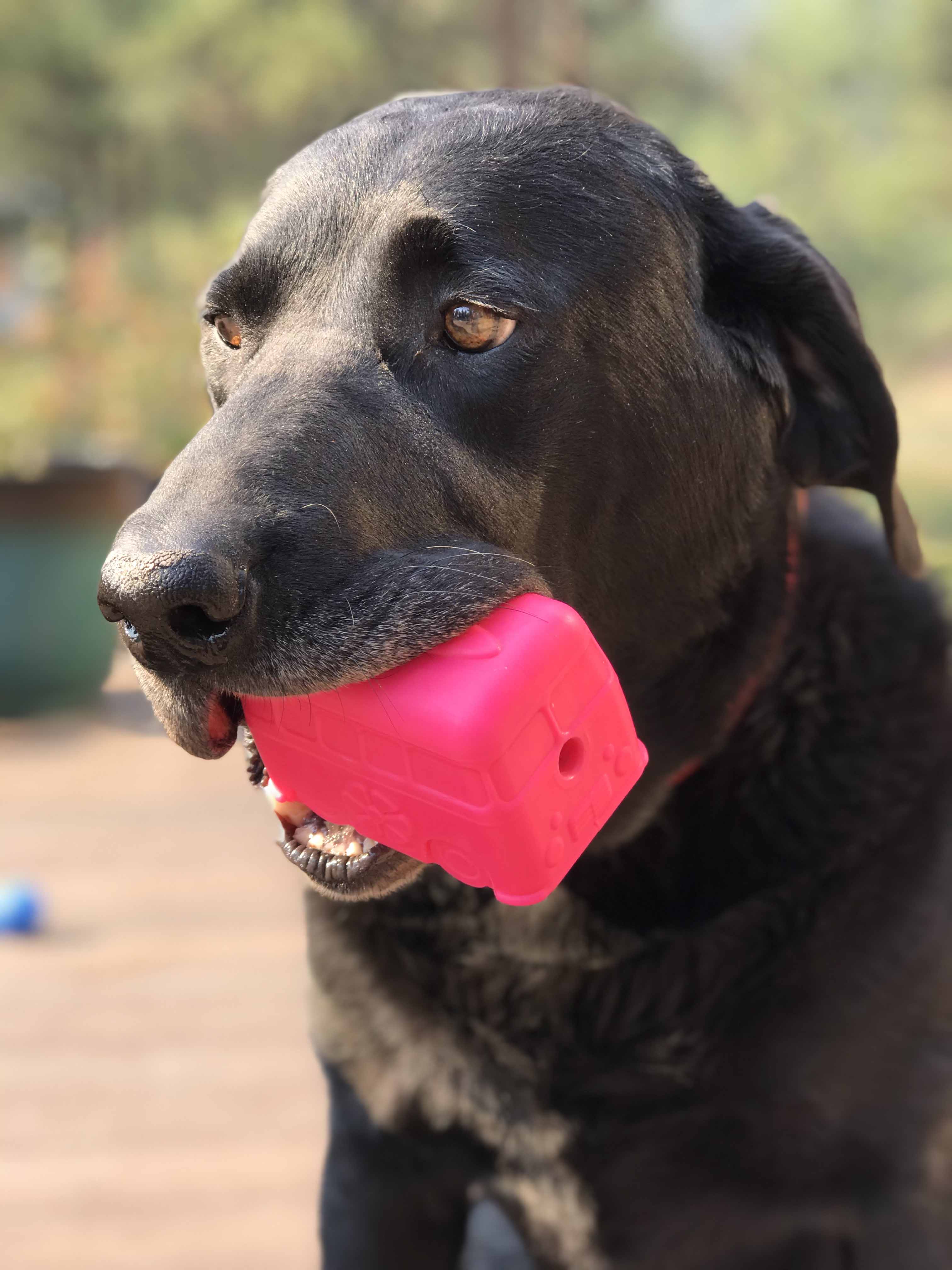 Surf's Up! Retro Van Dog Toy - Durable Chew Toy for Large Dogs | USA Made