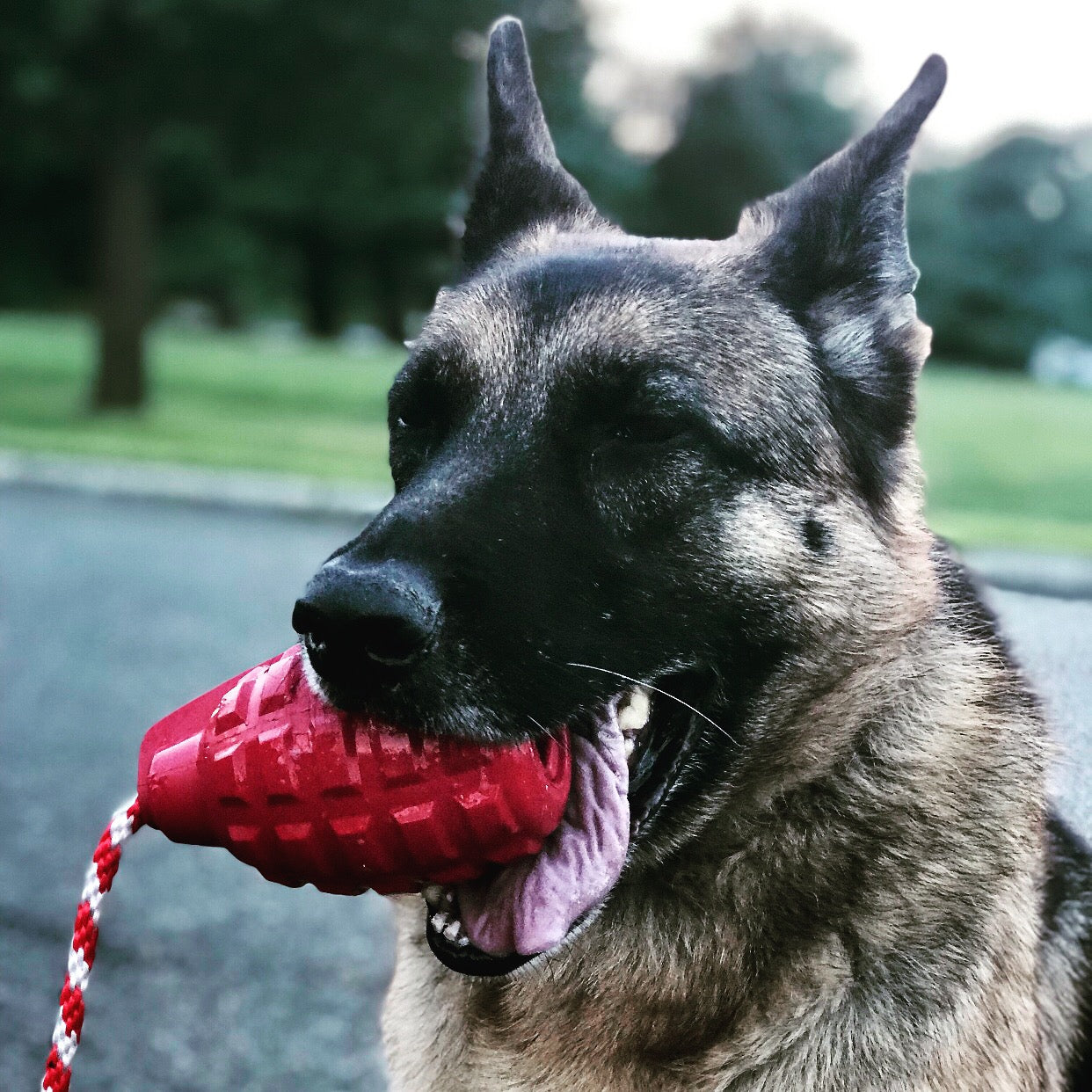 USA-K9 Grenade Rubber Dog Chew Toy | K9 Handler Reward Toy | USA Made