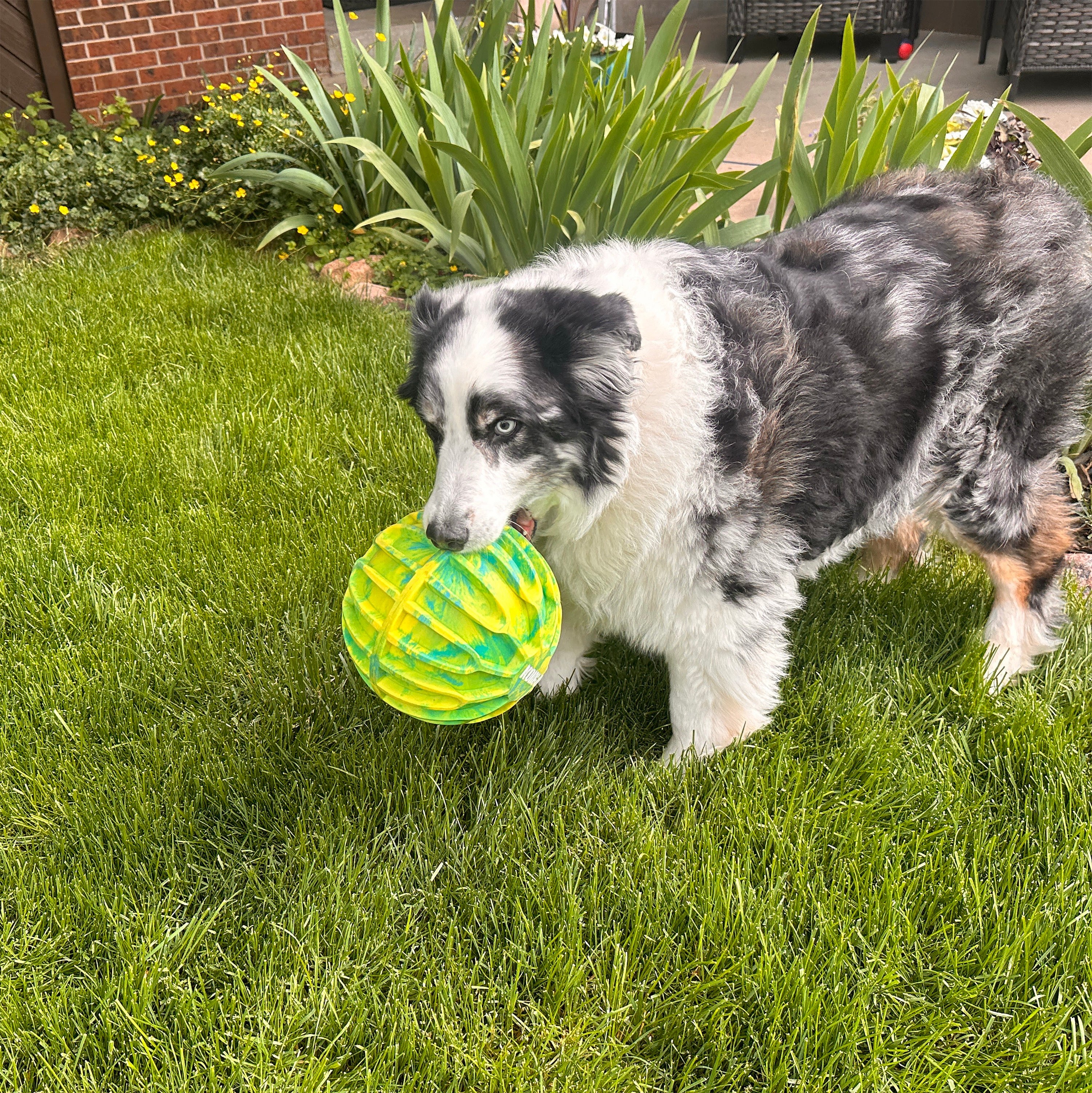 Kong Flexball Sport Ball XL