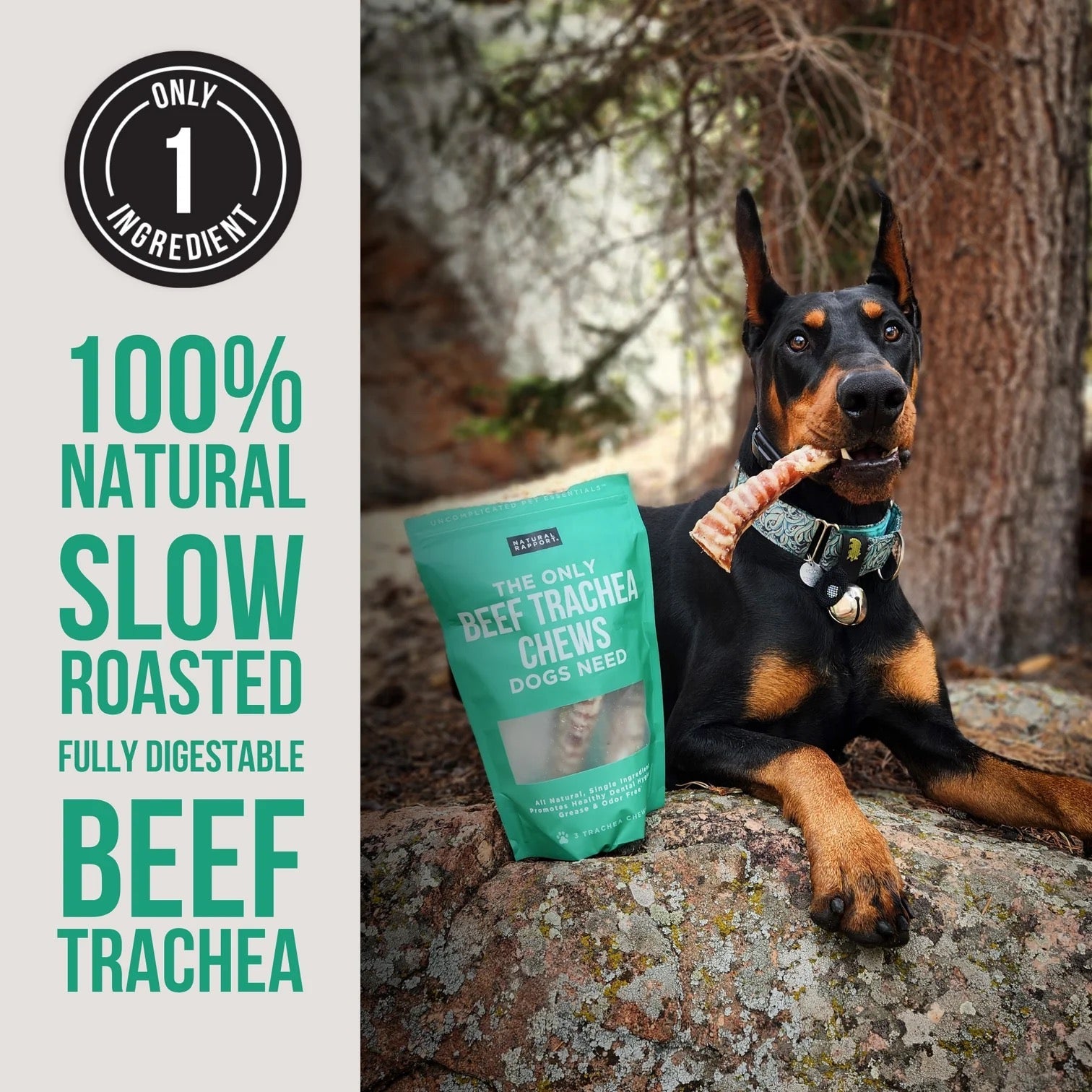 Natural Rapport The Only Beef Trachea Chews Dogs Need Dog Treats (3ct)