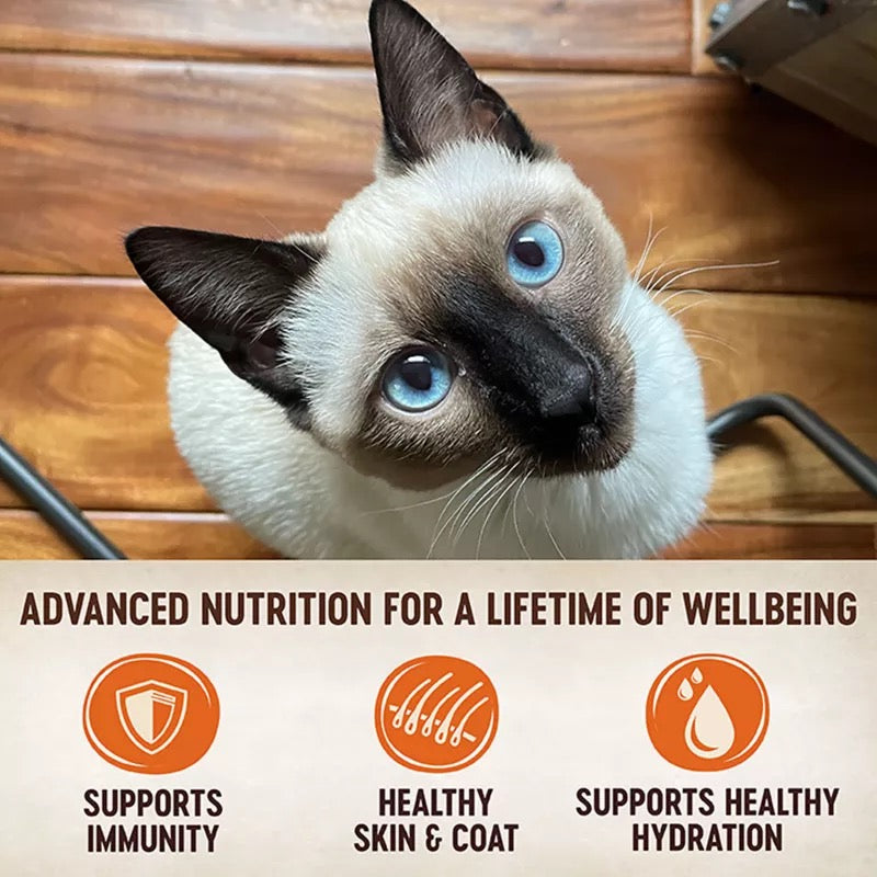 Wellness Core Tiny Tasters Chicken Pate (1.75oz)