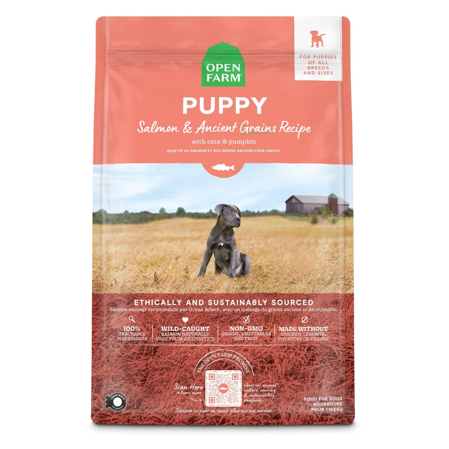 Open Farm Salmon & Ancient Grains Puppy Dry Dog Food (4lb)